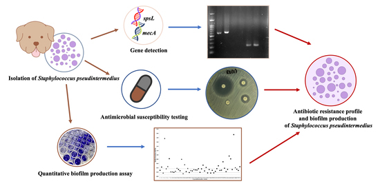 Pharmaceuticals | Free Full-Text | Antibiotic Resistance Profile and ...