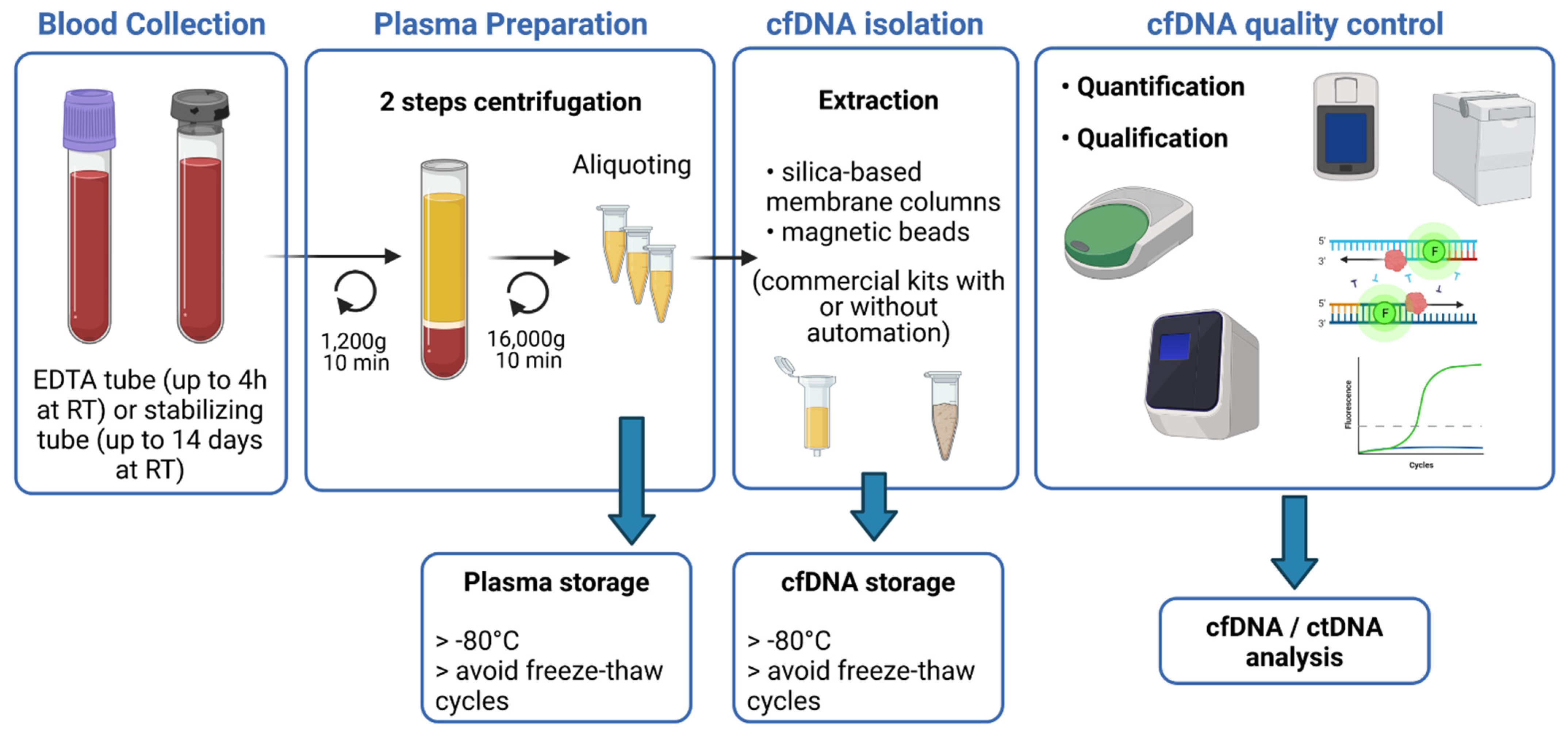Pharmaceuticals | Free Full-Text | cfDNA Sequencing: Technological  Approaches and Bioinformatic Issues | HTML
