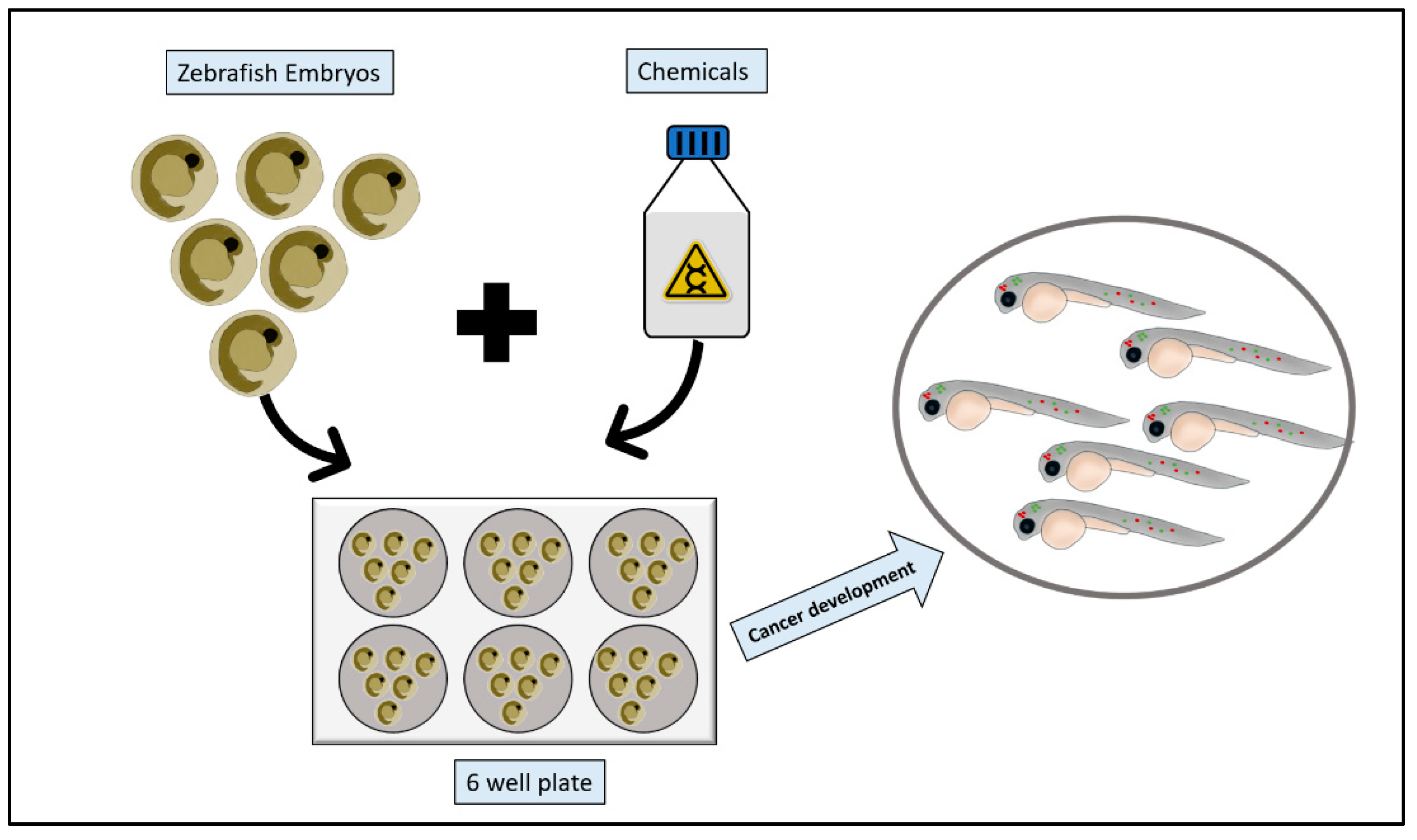 Pharmaceuticals 14 00625 g003