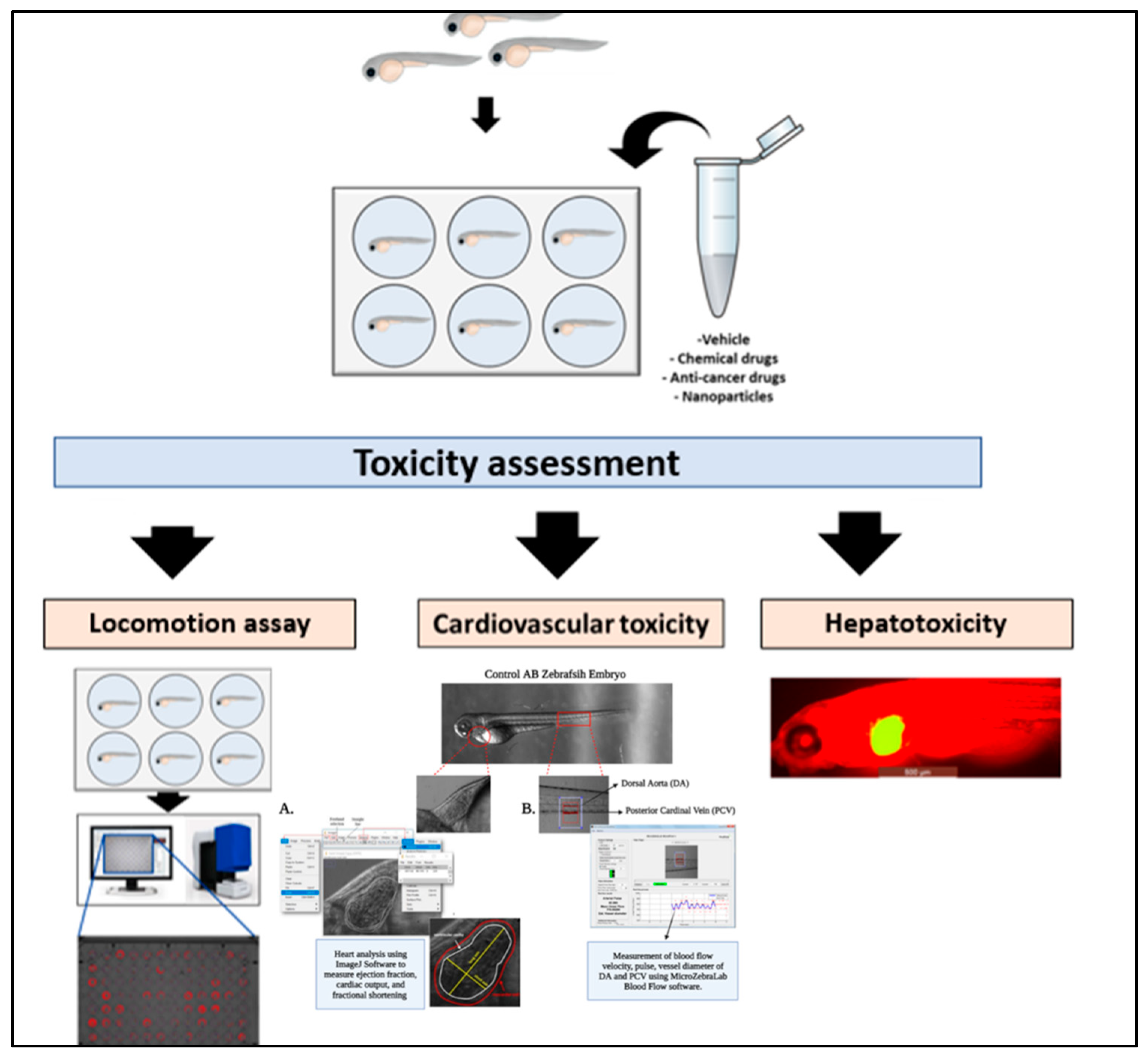 Pharmaceuticals 14 00625 g004