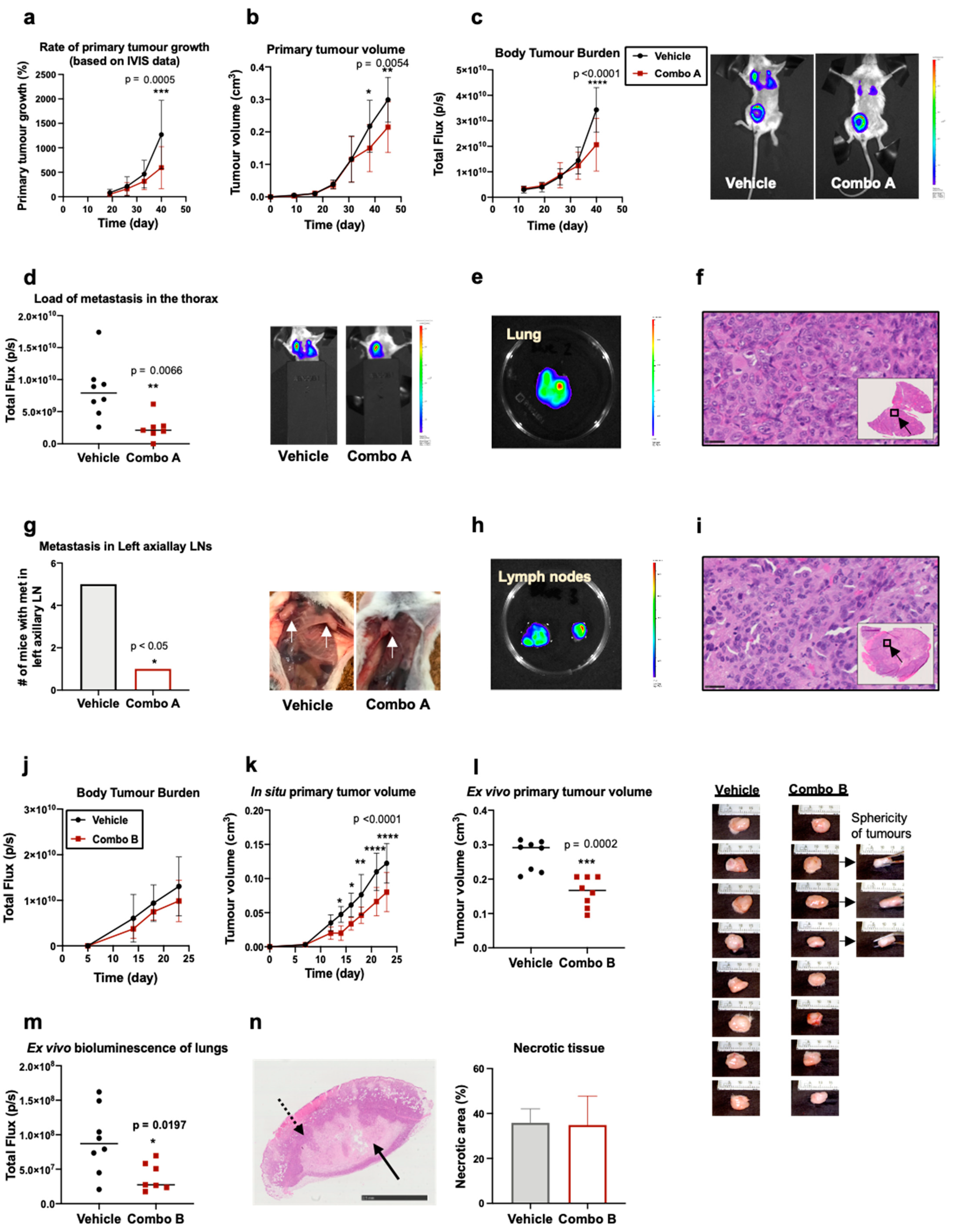 Pharmaceuticals 14 00633 g005 Pharmaceuticals 14 00633 g005