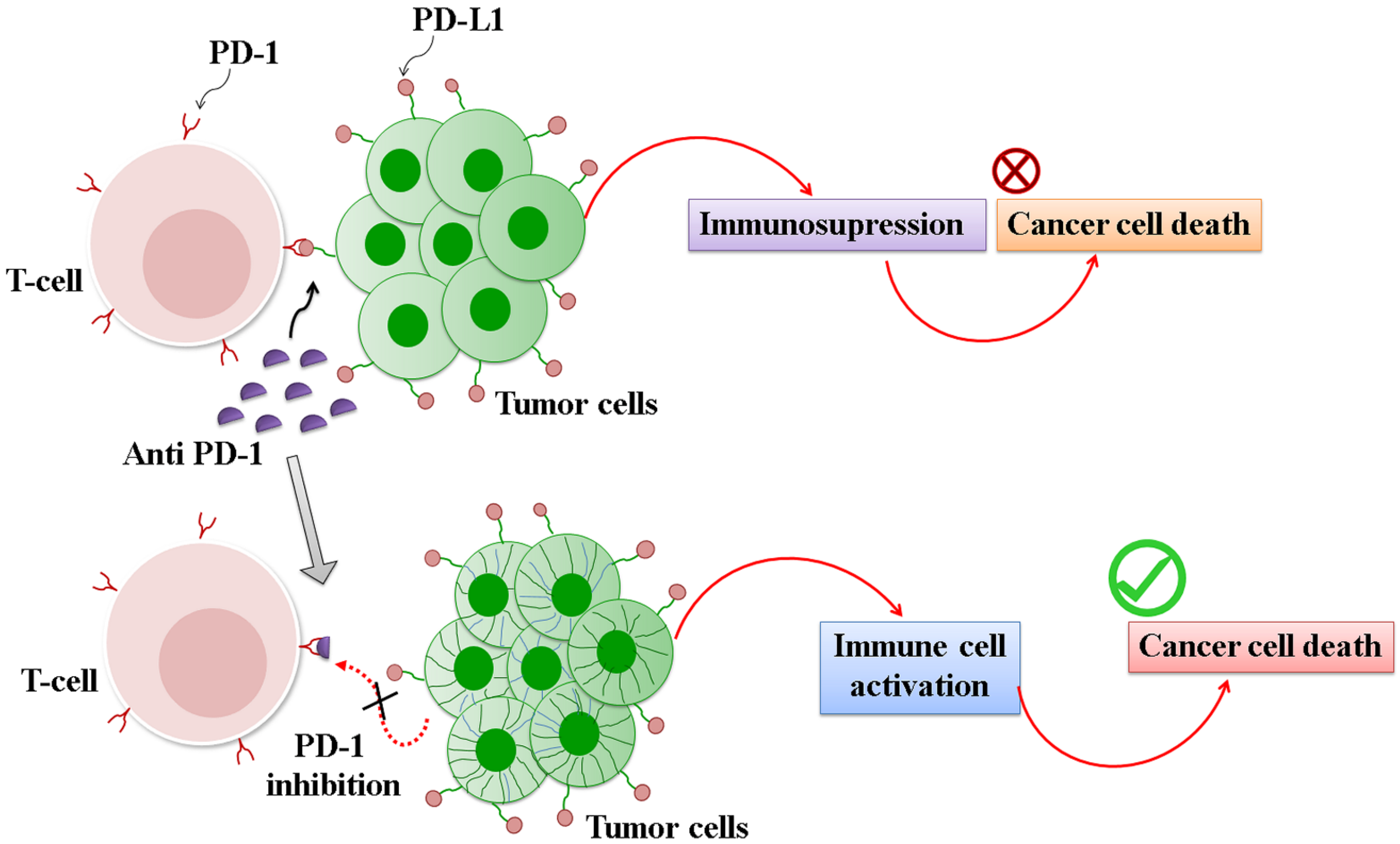Pharmaceuticals 14 00656 g004