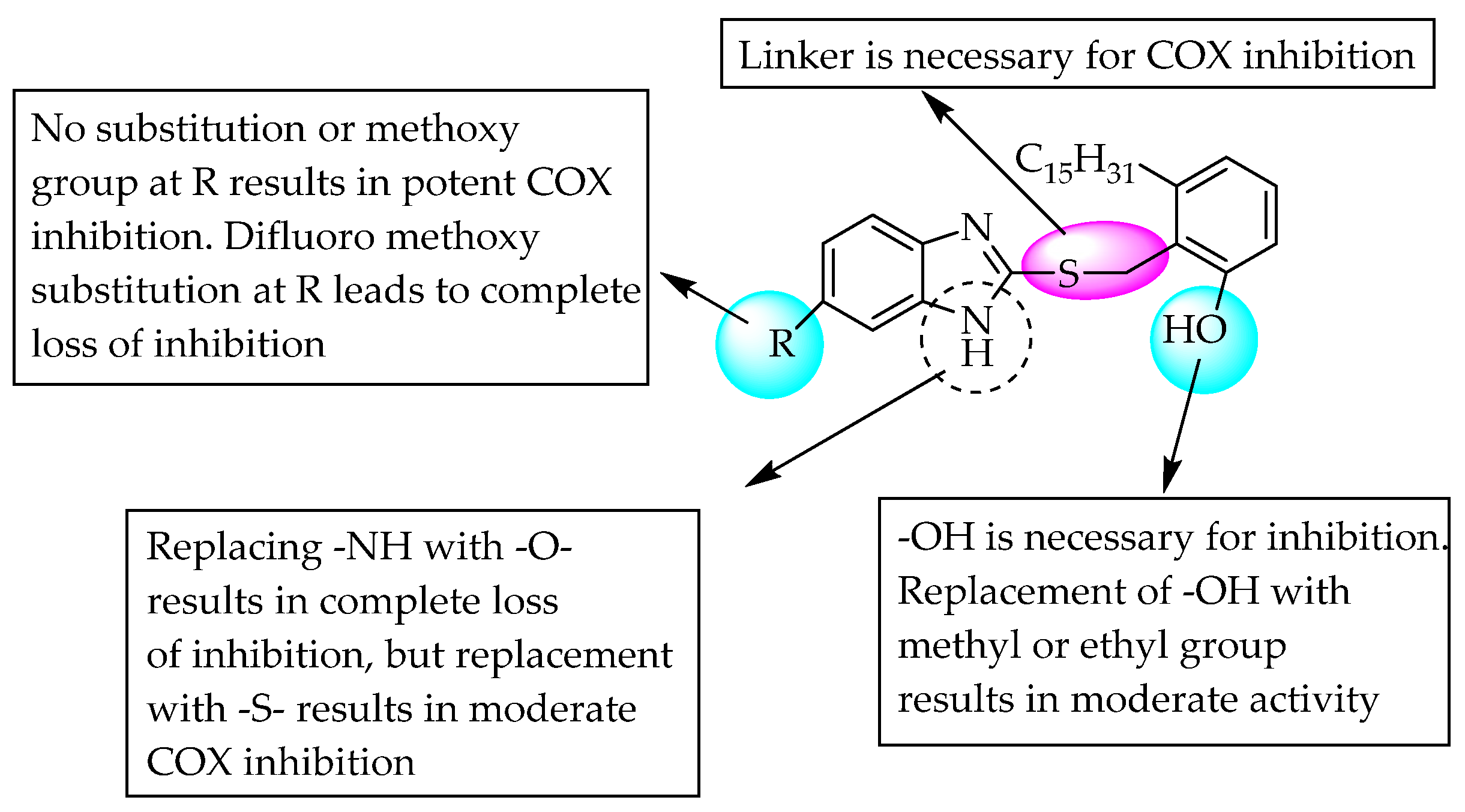 Pharmaceuticals 14 00663 g006