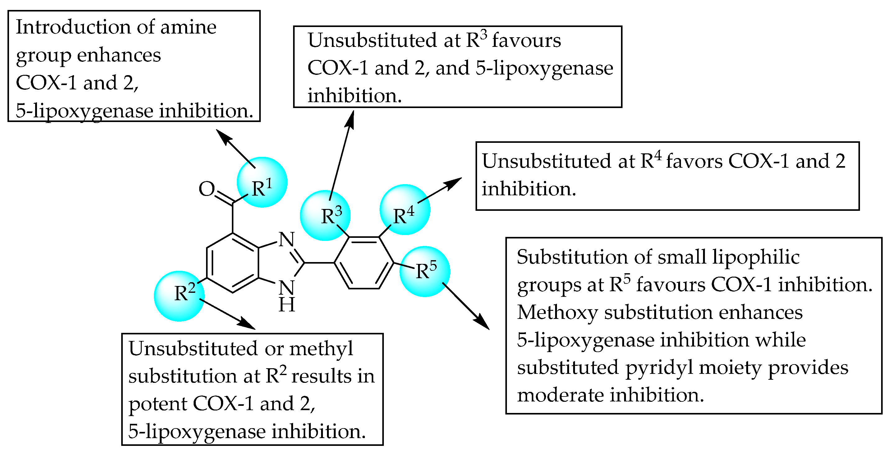 Pharmaceuticals 14 00663 g007