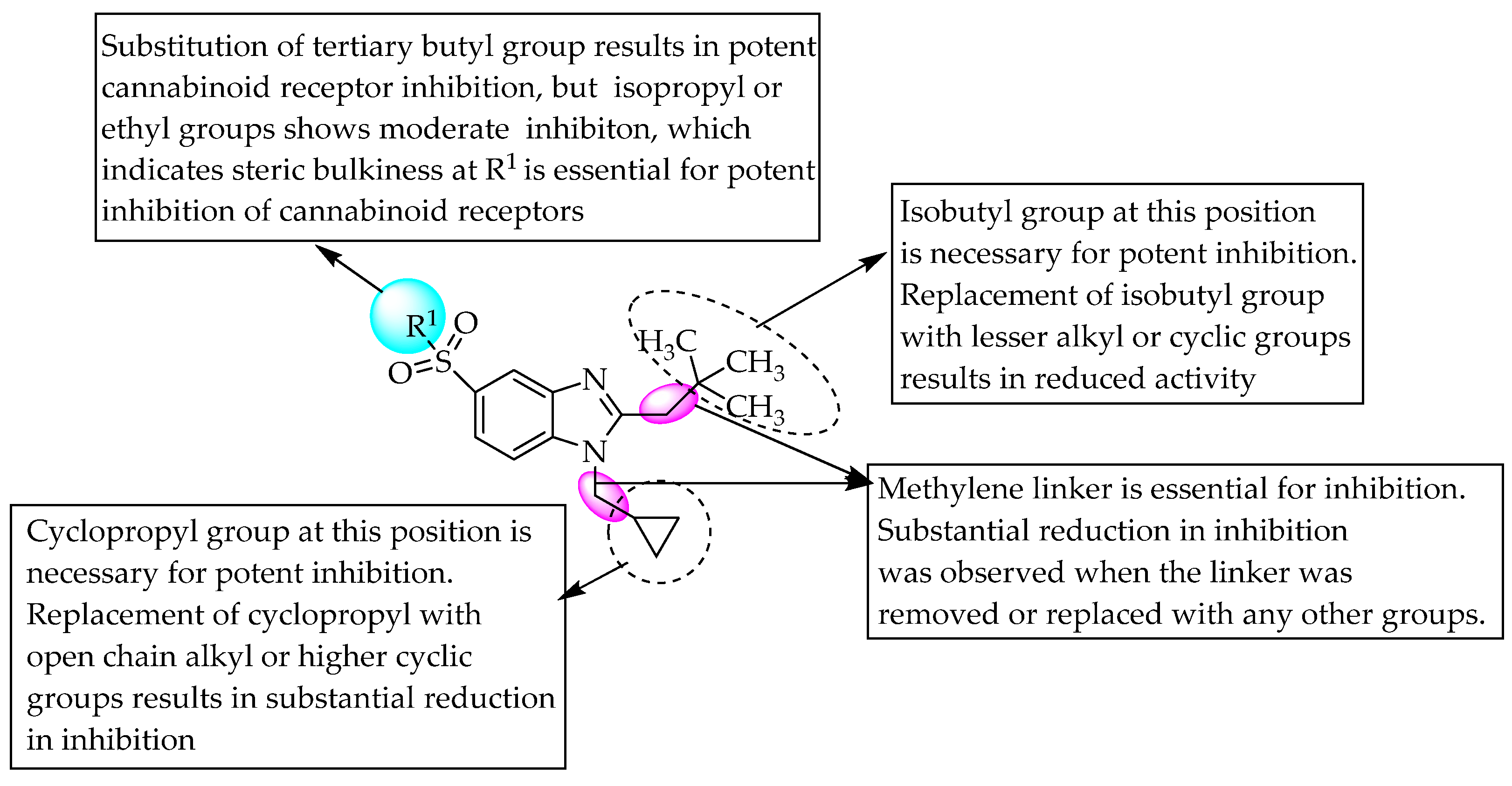 Pharmaceuticals 14 00663 g008