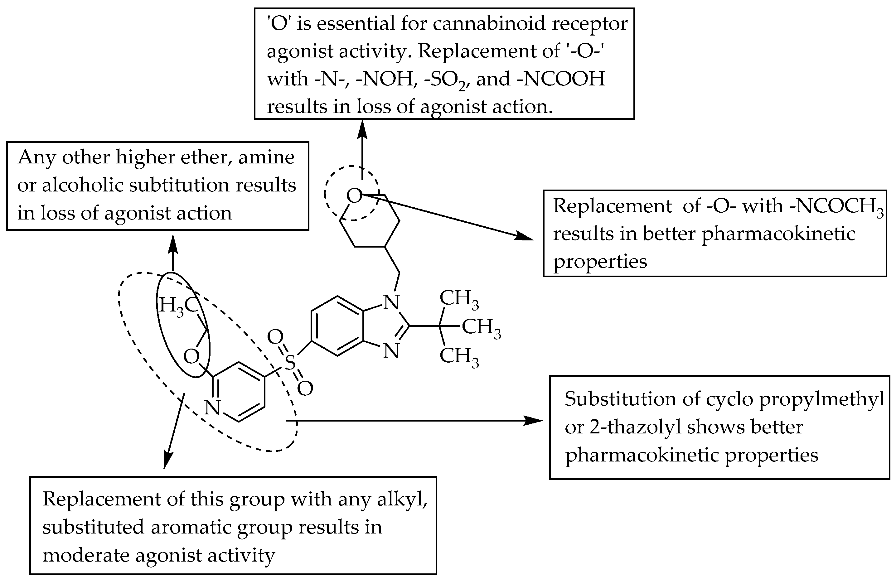 Pharmaceuticals 14 00663 g009