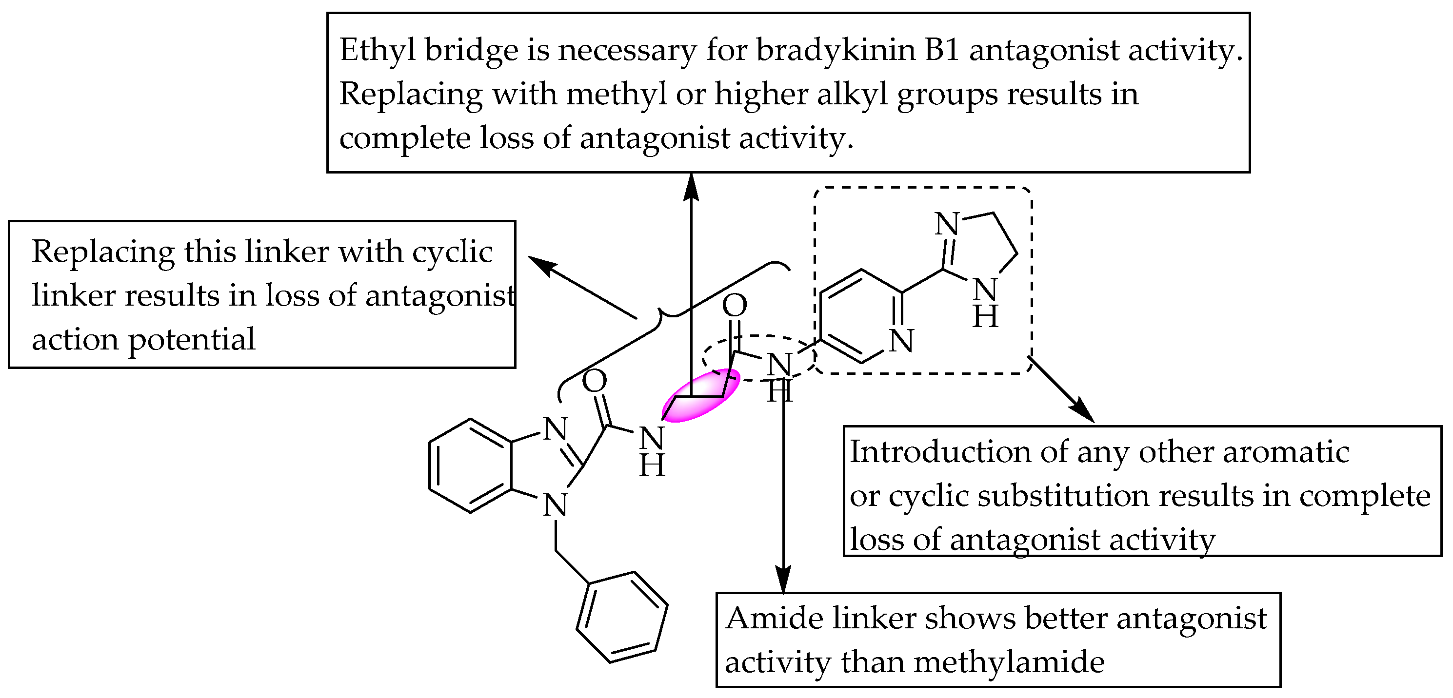 Pharmaceuticals 14 00663 g010