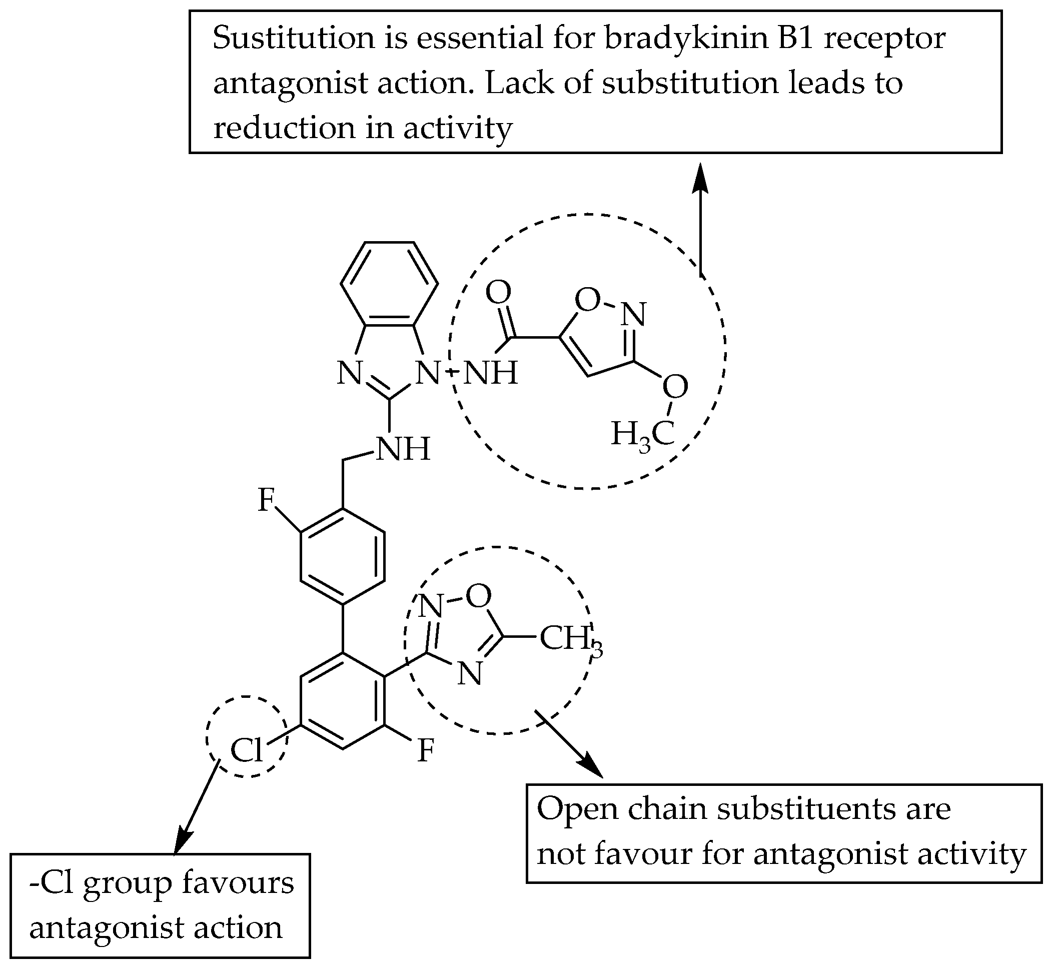 Pharmaceuticals 14 00663 g011