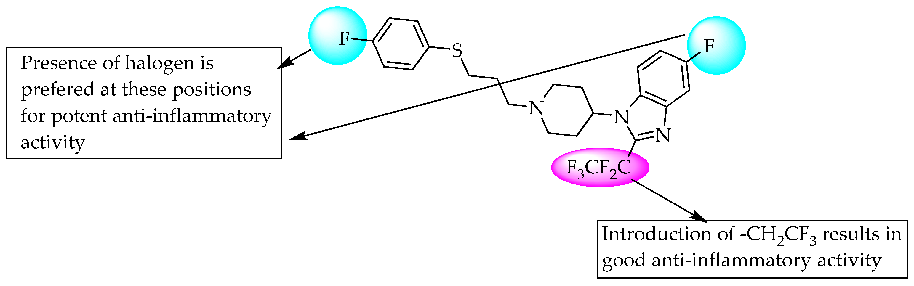 Pharmaceuticals 14 00663 g014