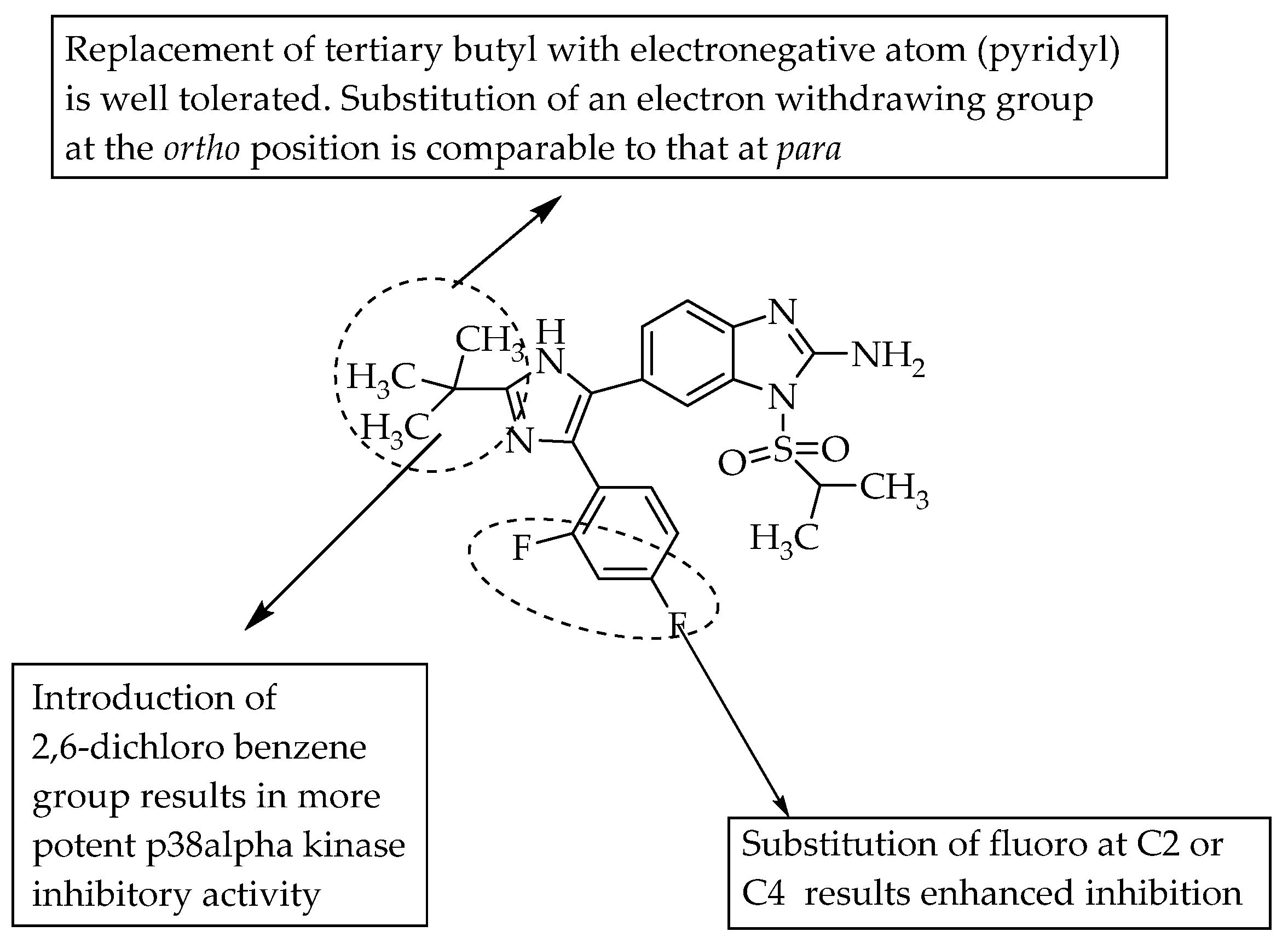 Pharmaceuticals 14 00663 g016