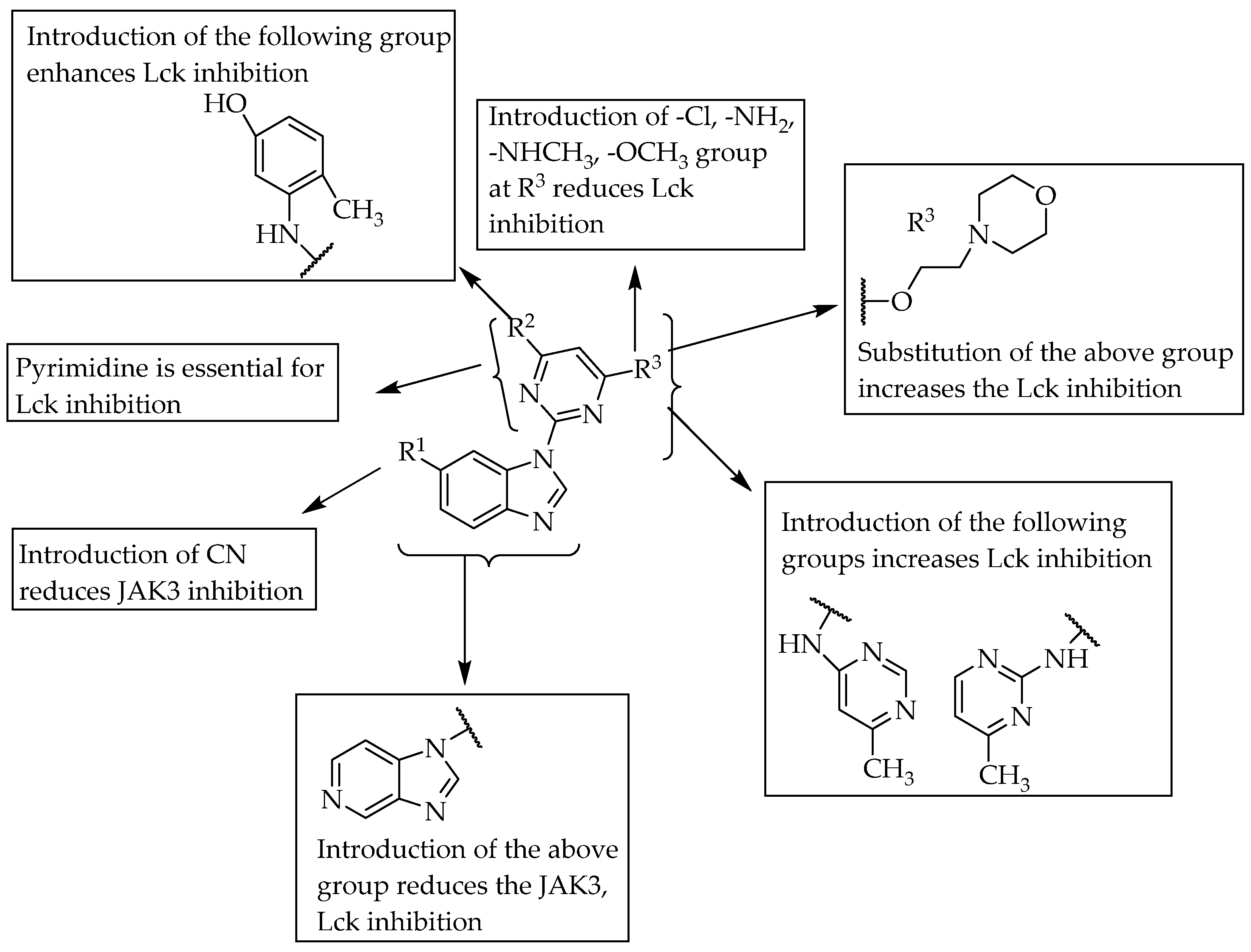 Pharmaceuticals 14 00663 g020