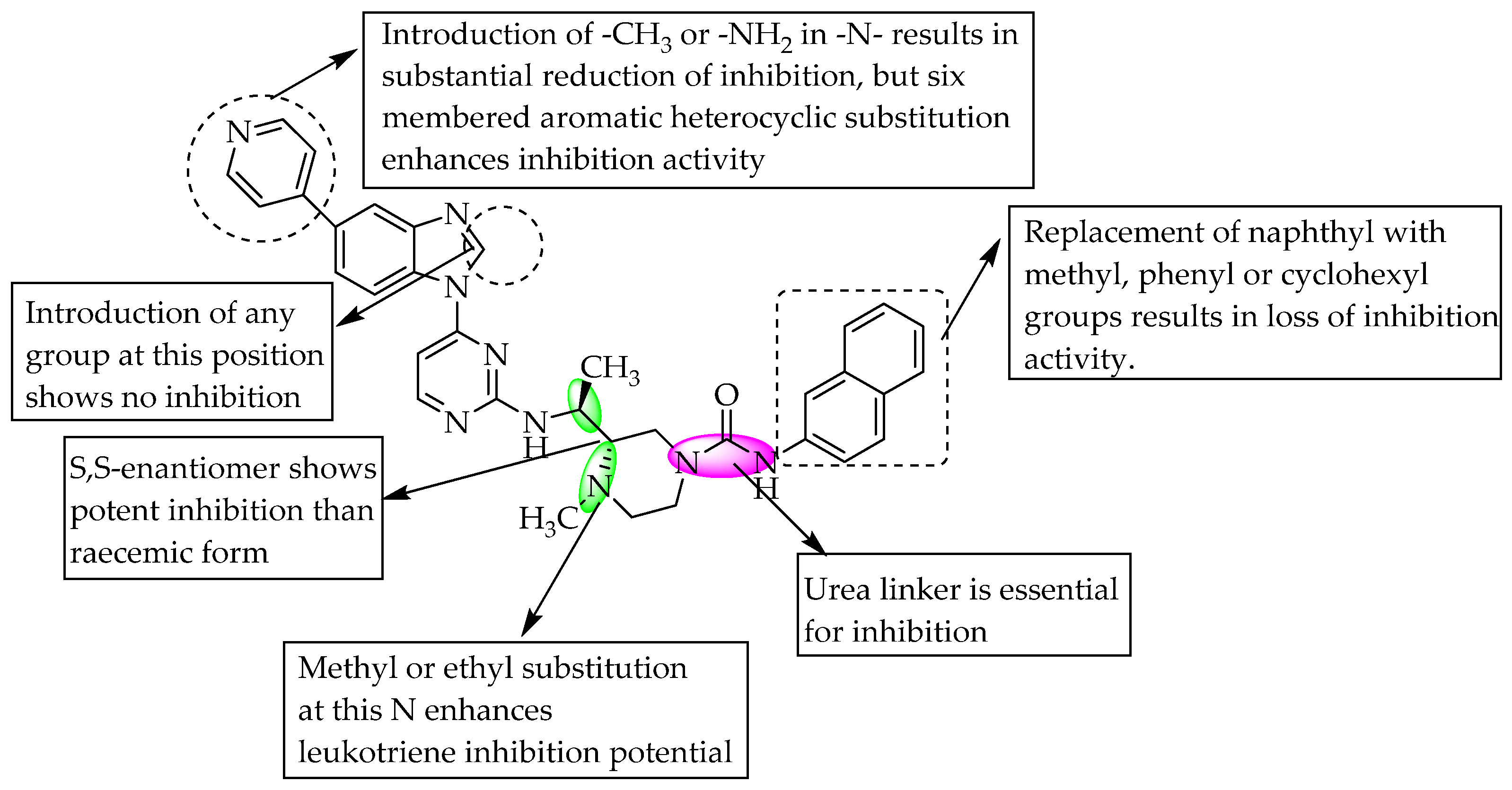 Pharmaceuticals 14 00663 g022
