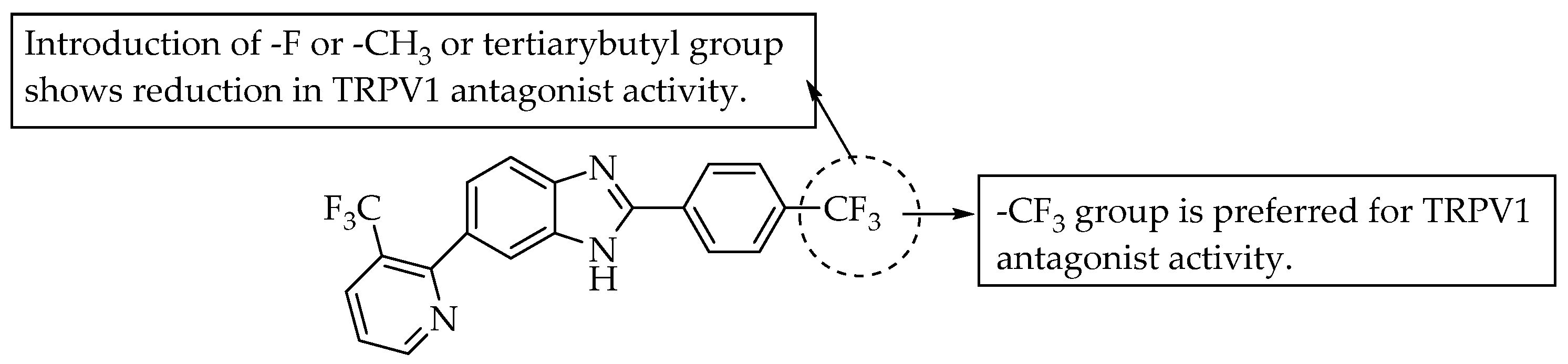 Pharmaceuticals 14 00663 g025