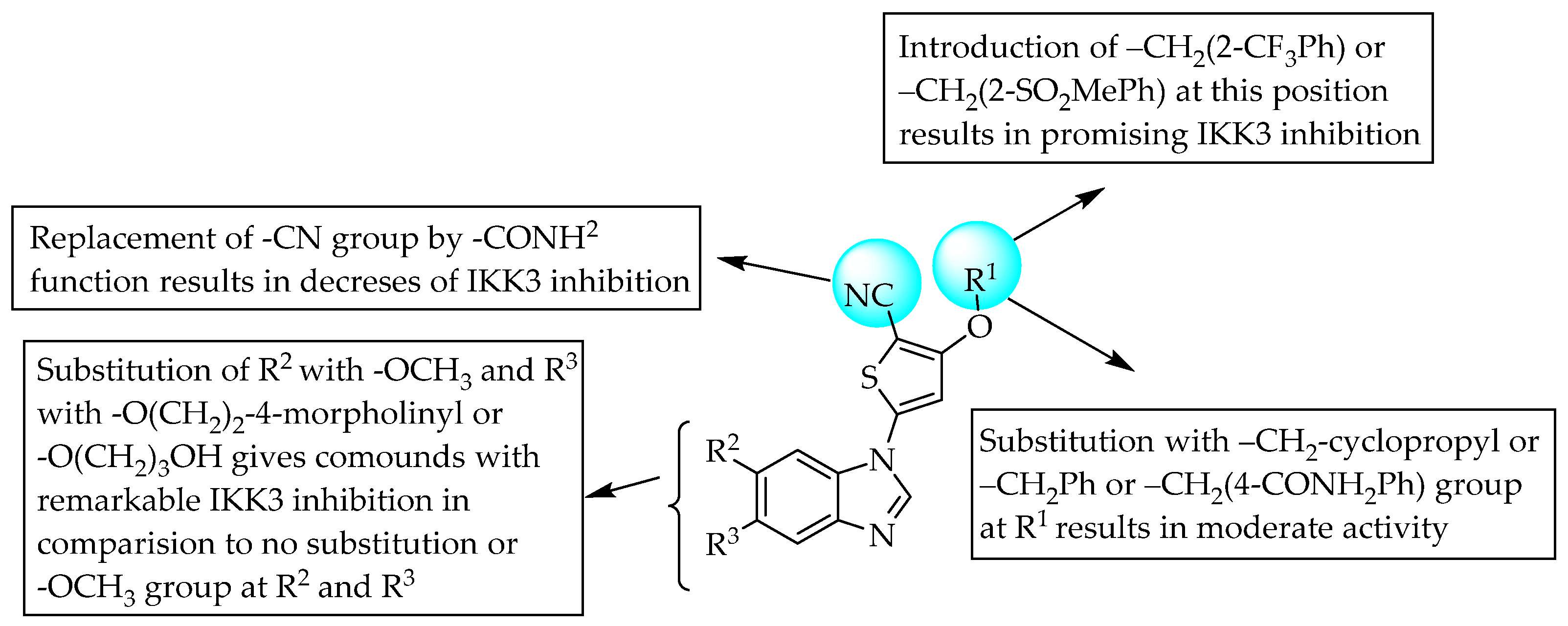 Pharmaceuticals 14 00663 g026