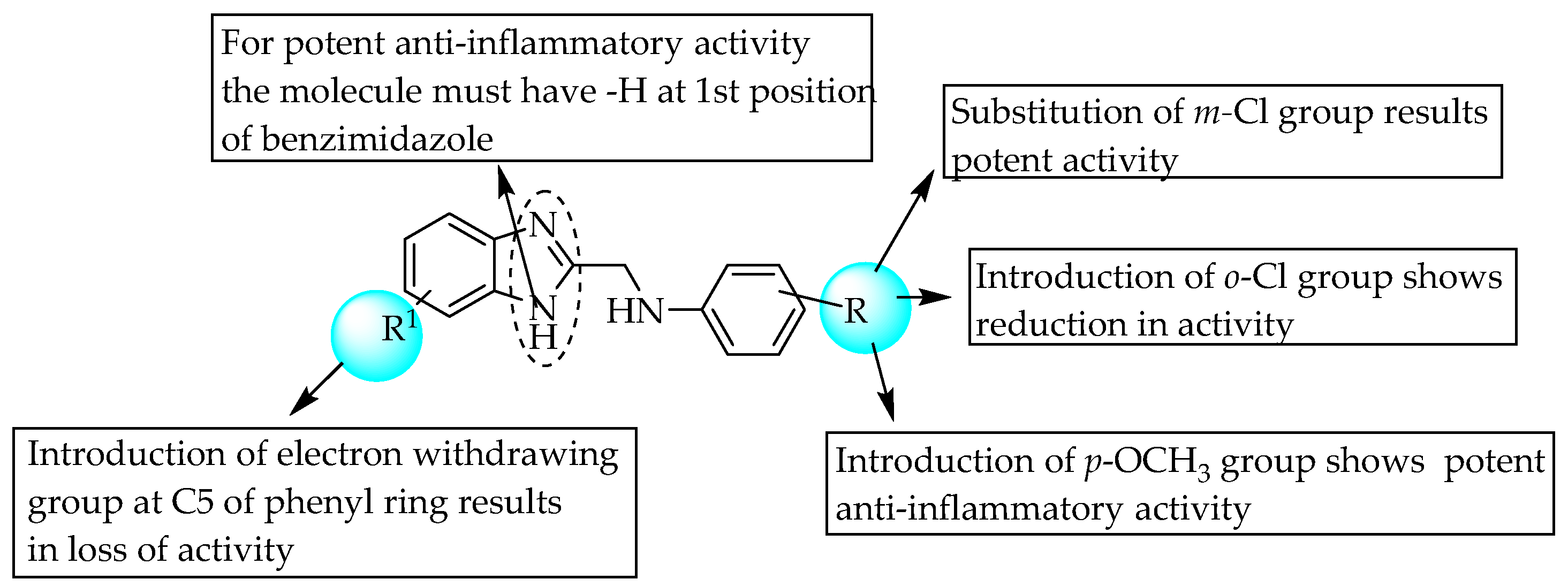 Pharmaceuticals 14 00663 g040