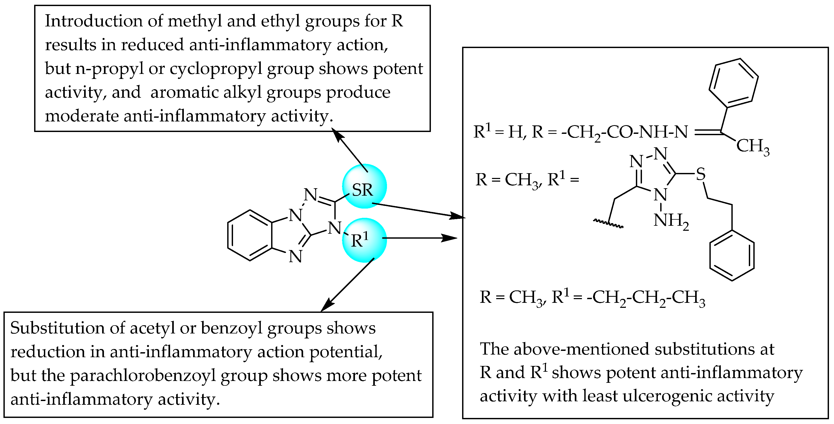 Pharmaceuticals 14 00663 g047