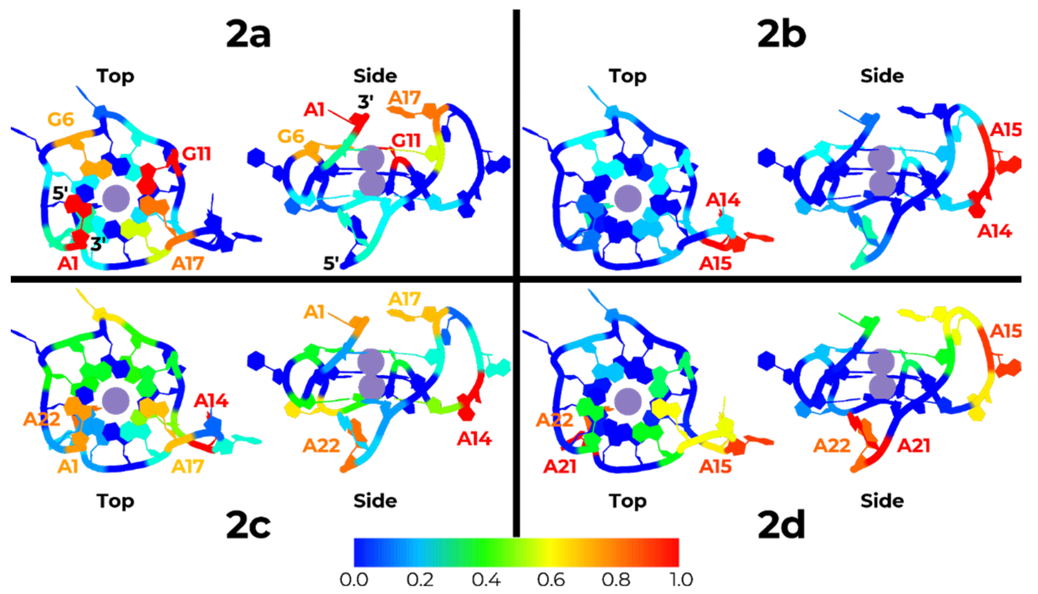Pharmaceuticals 14 00669 g005