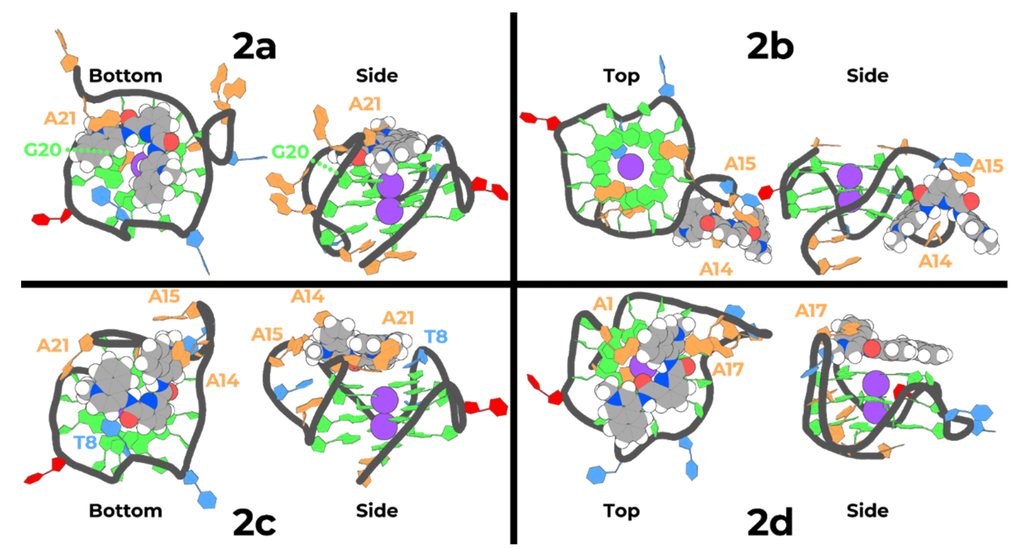 Pharmaceuticals 14 00669 g006