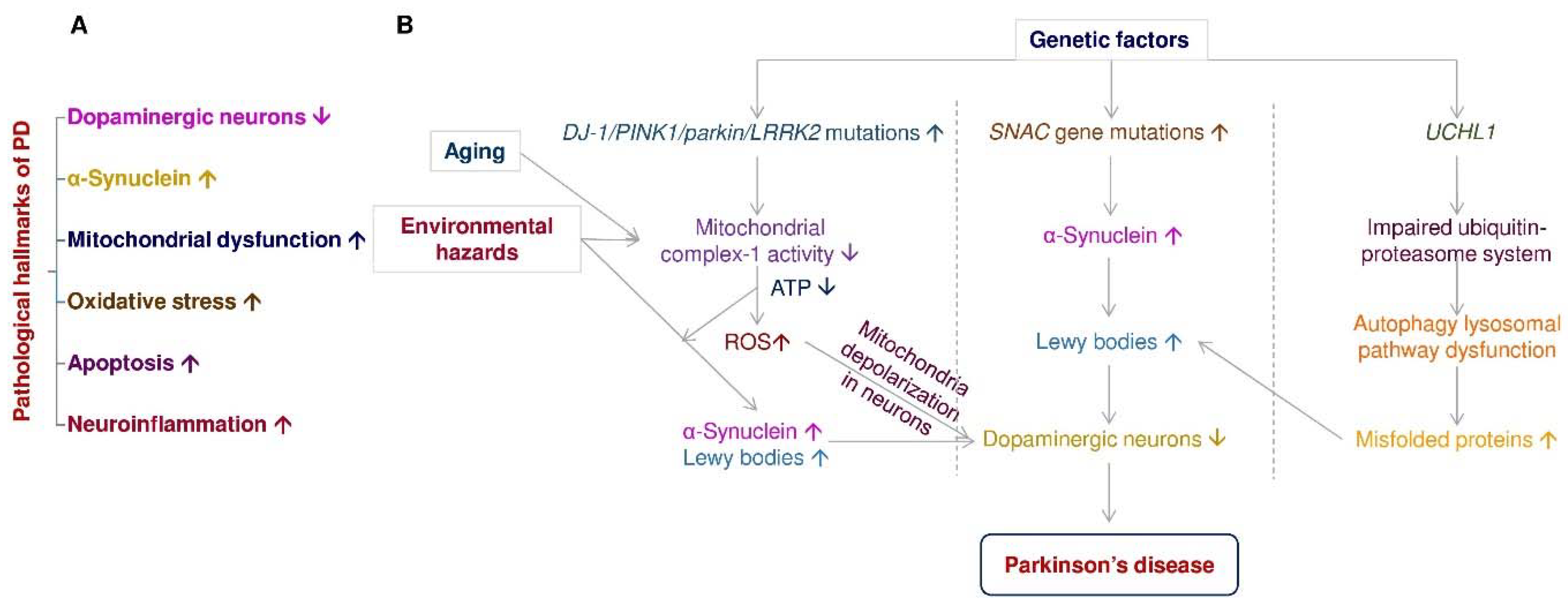 Pharmaceuticals 14 00717 g001 Pharmaceuticals 14 00717 g001
