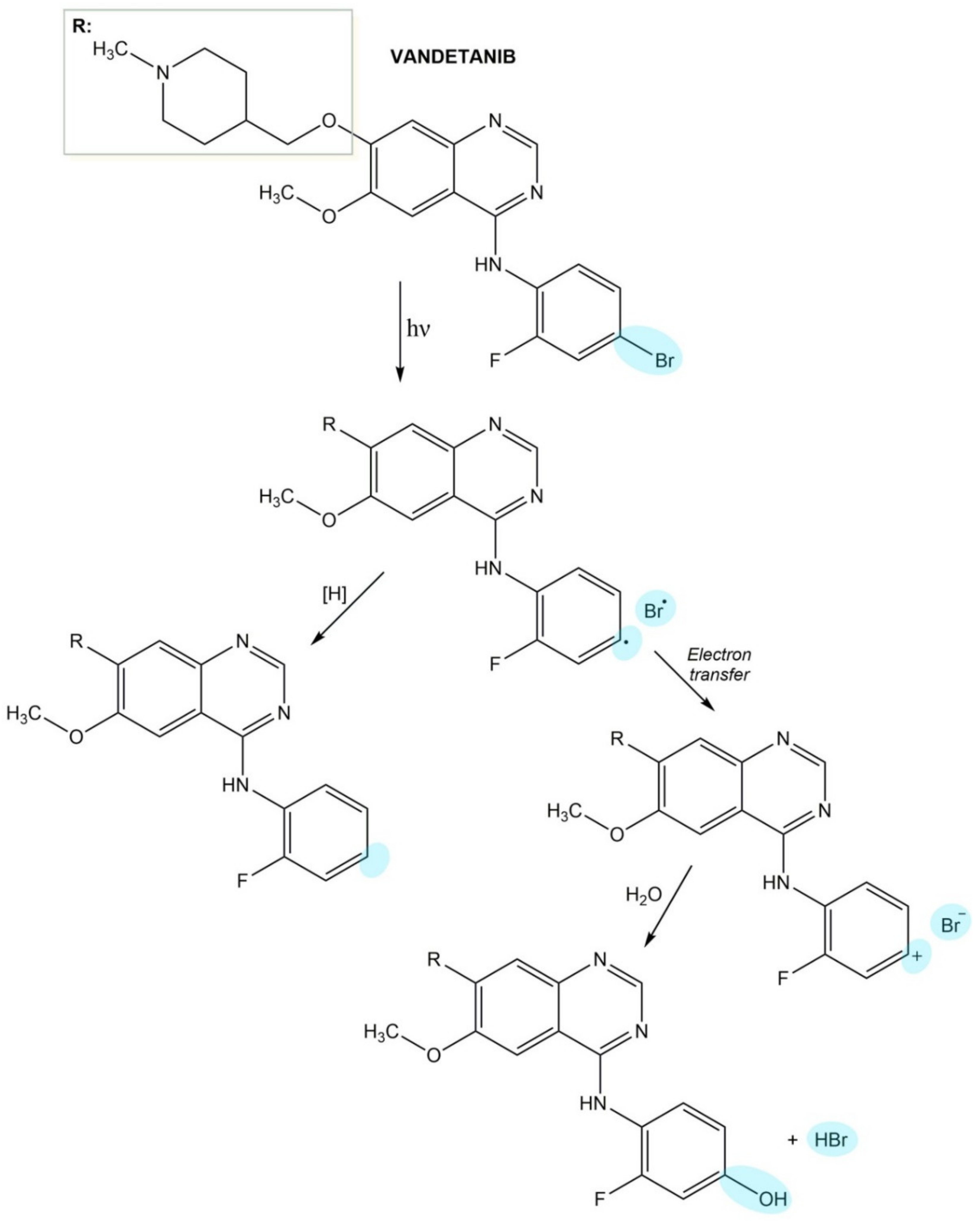 Pharmaceuticals 14 00723 g010 Pharmaceuticals 14 00723 g010