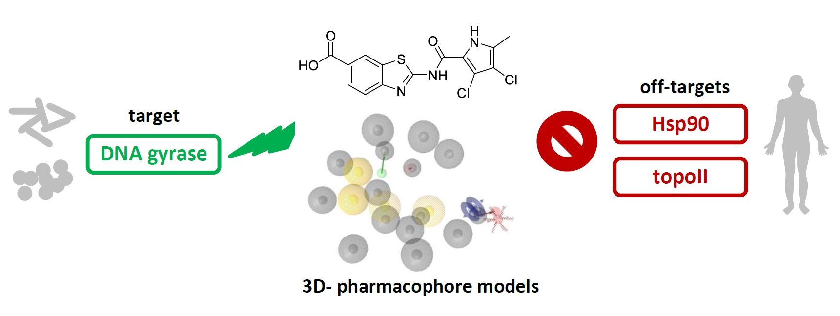 Pharmaceuticals | Free Full-Text | Selective DNA Gyrase Inhibitors:  Multi-Target in Silico Profiling with 3D-Pharmacophores | HTML