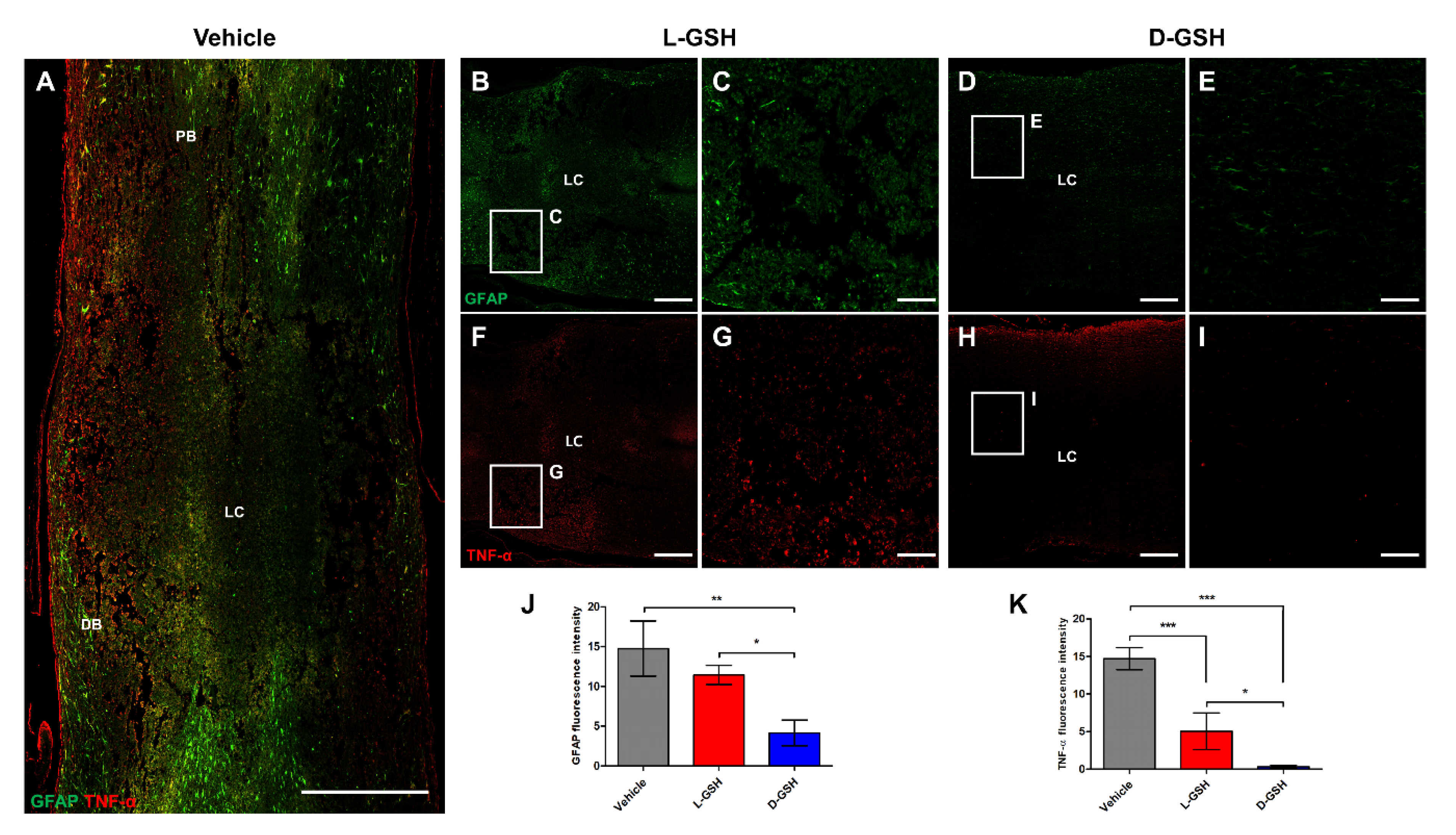 Pharmaceuticals 14 00792 g003