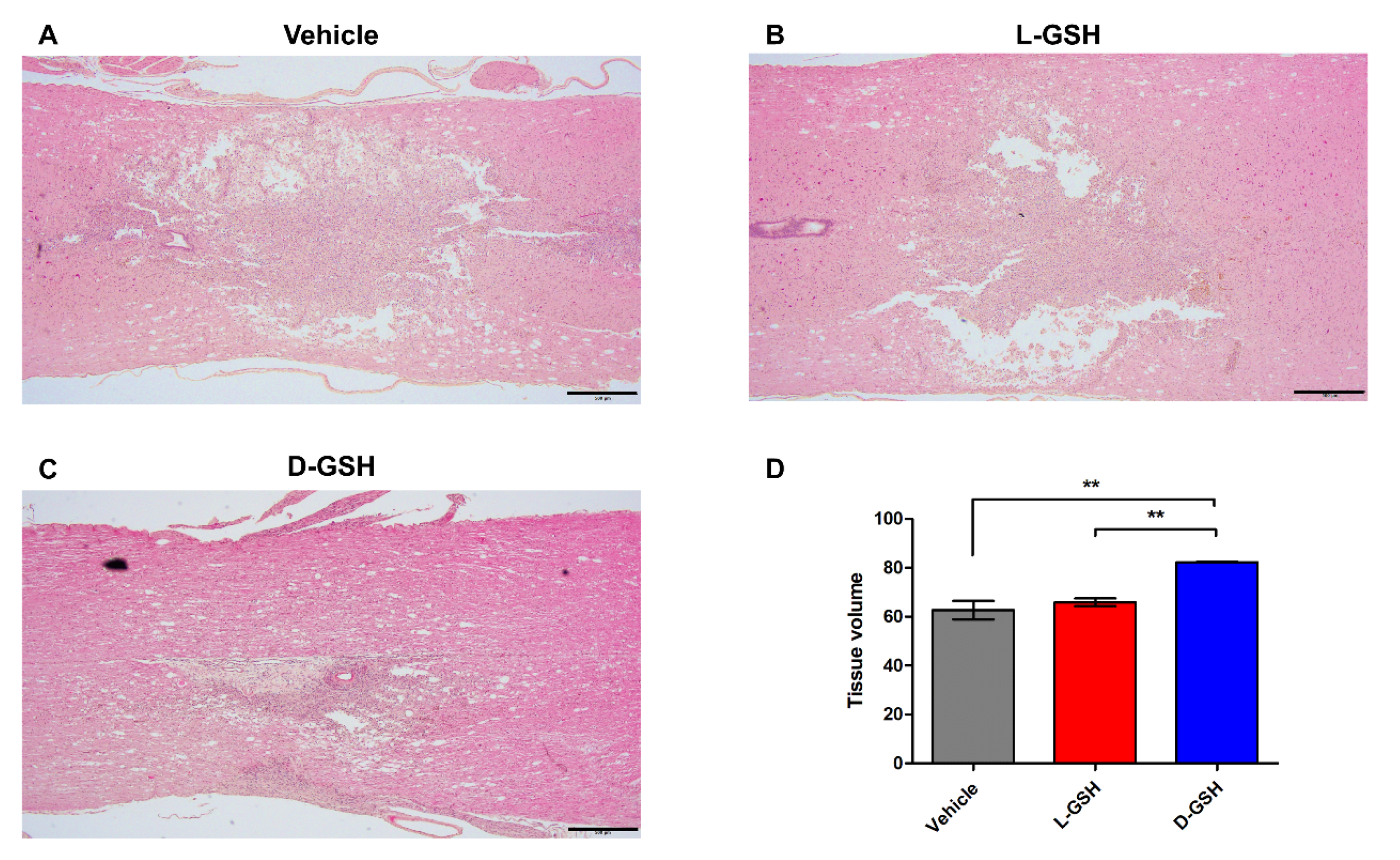 Pharmaceuticals 14 00792 g004