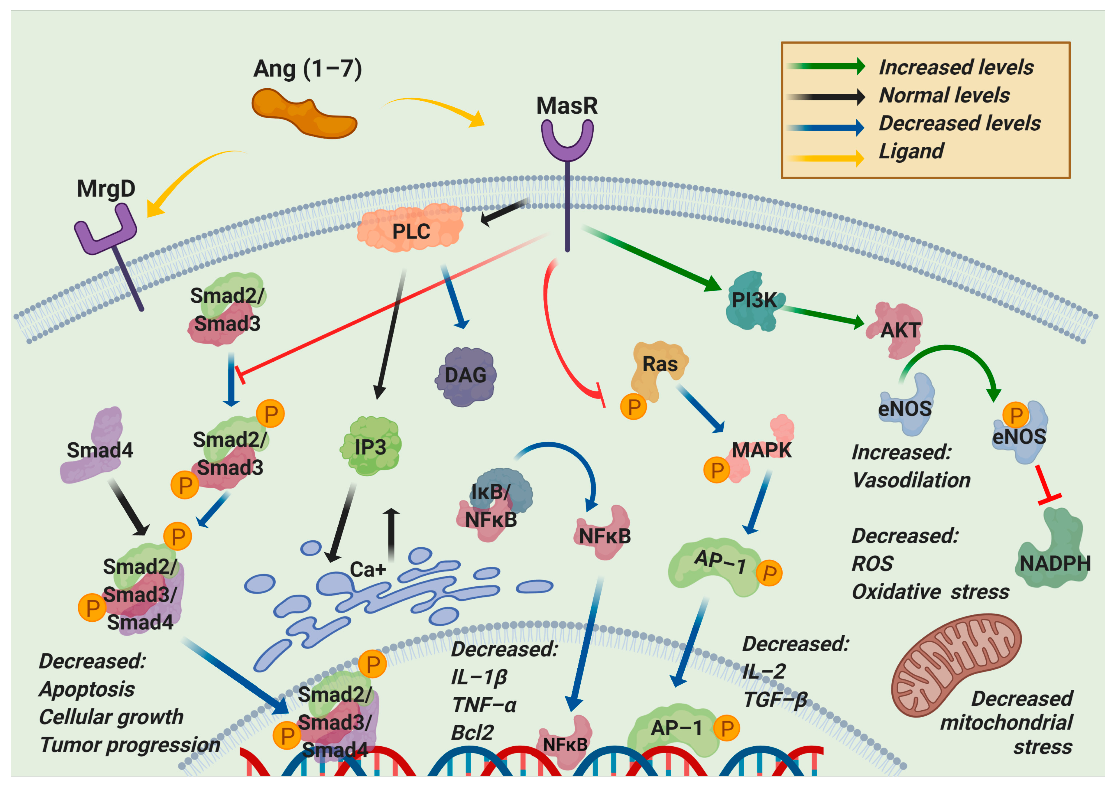 Pharmaceuticals 14 00805 g004