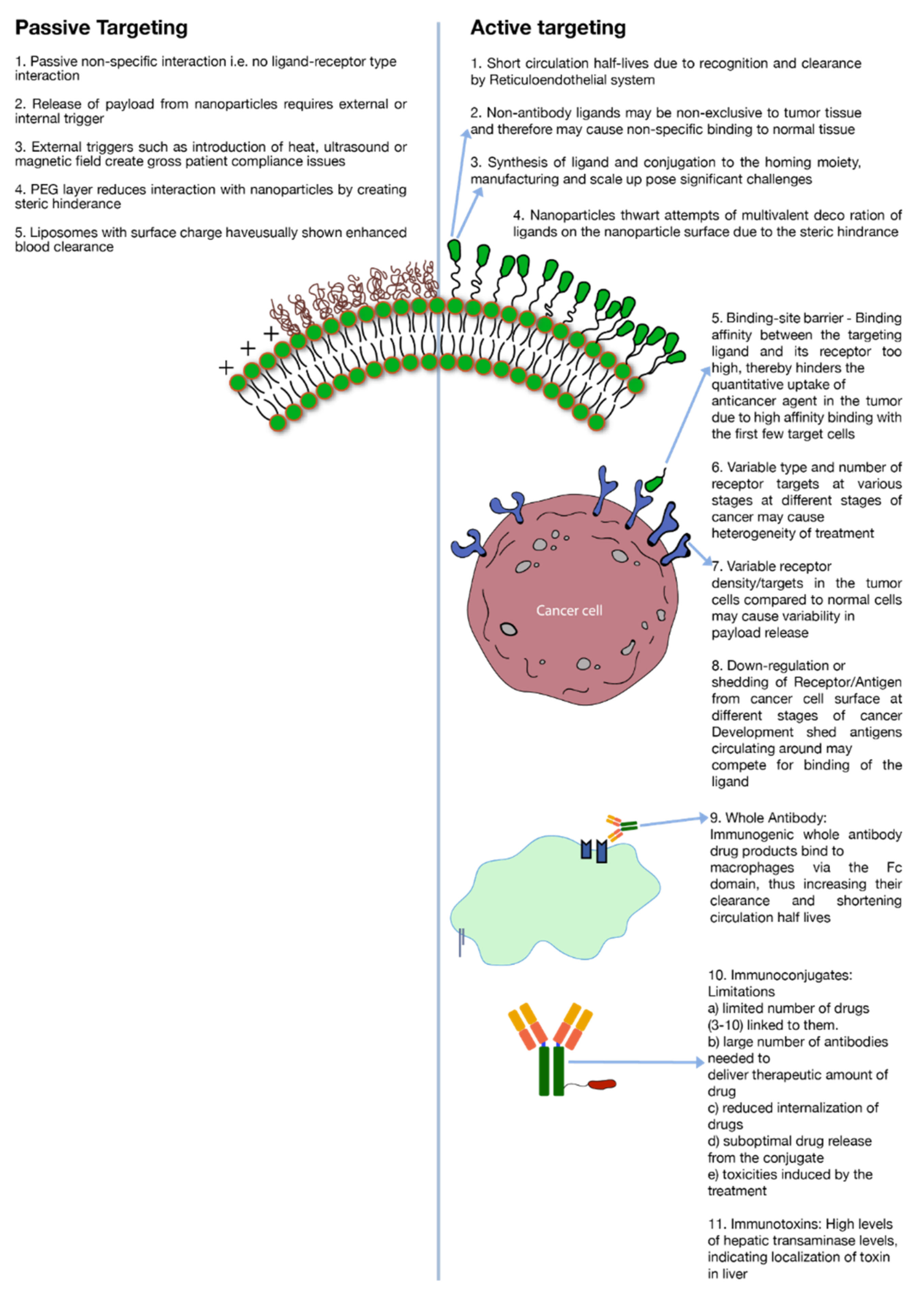 Pharmaceuticals 14 00835 g002