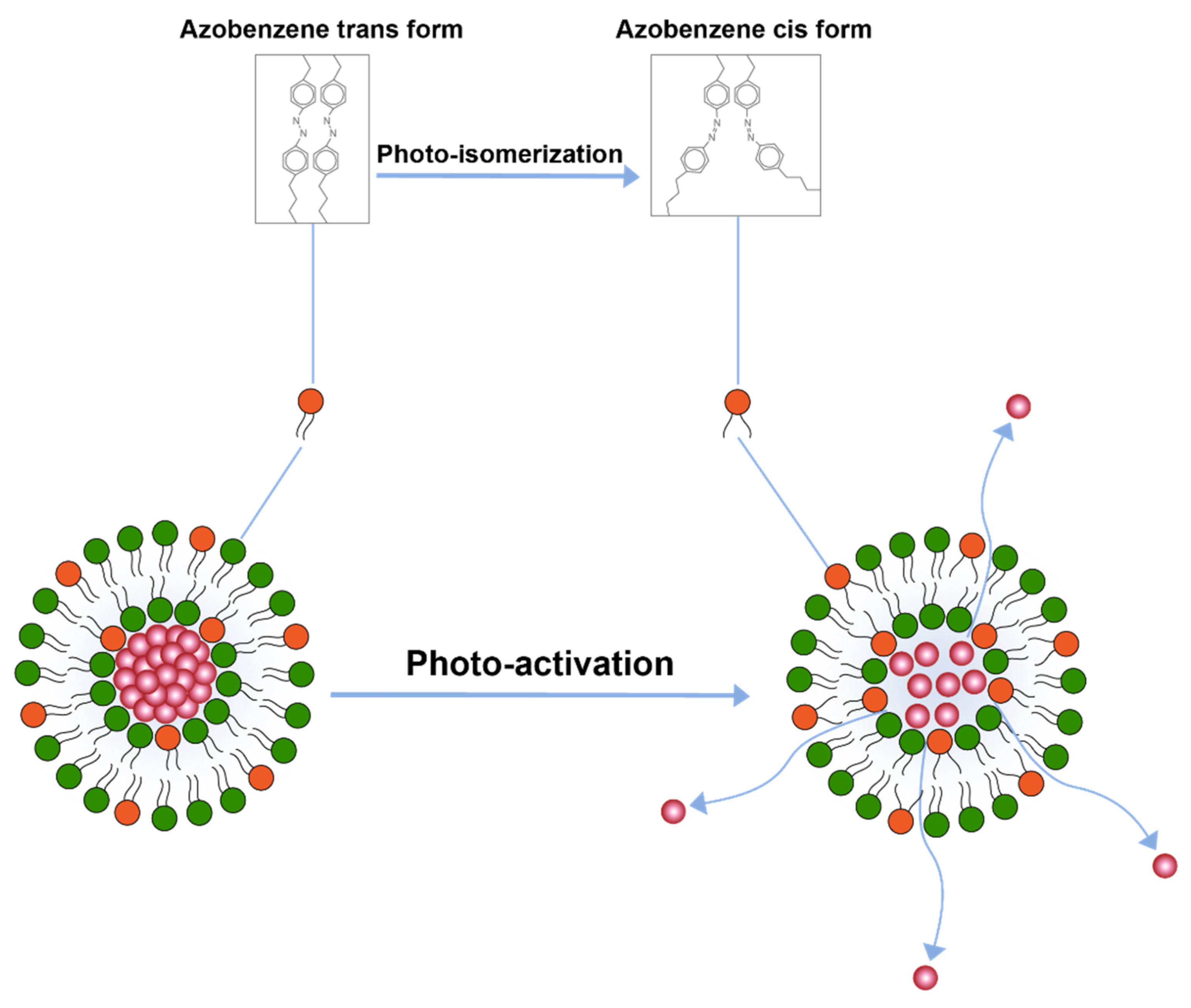 Pharmaceuticals 14 00835 g005