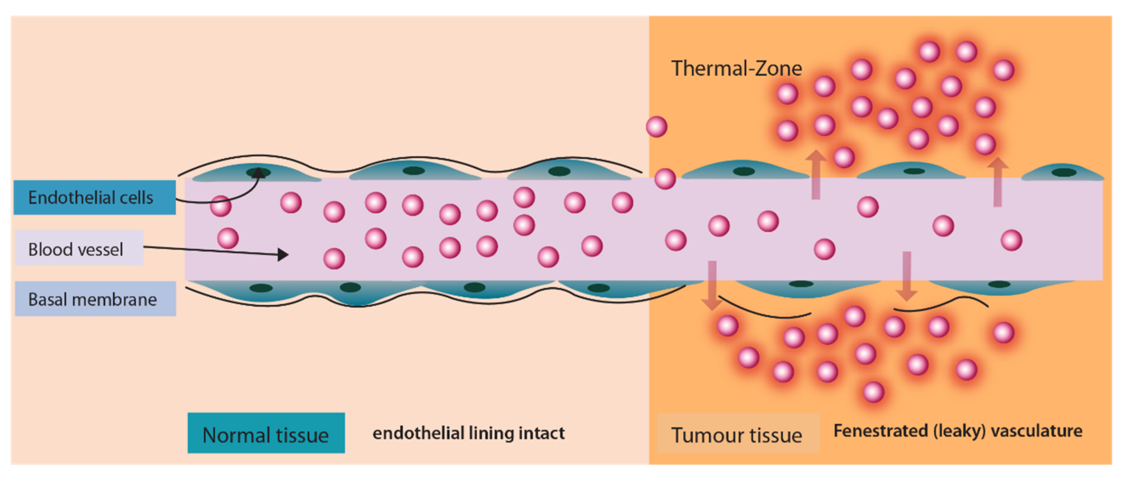 Pharmaceuticals 14 00835 g008