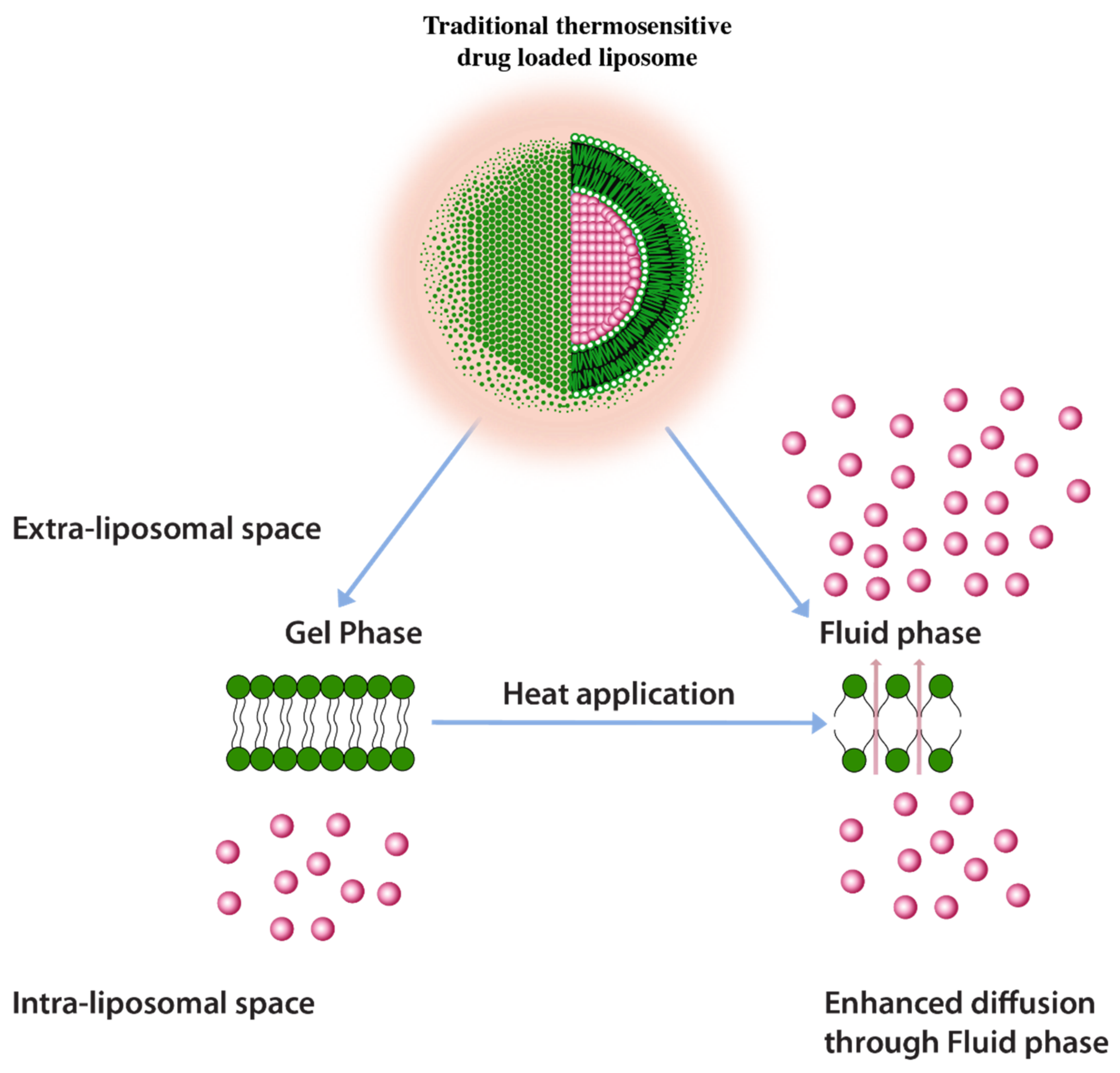 Pharmaceuticals 14 00835 g009