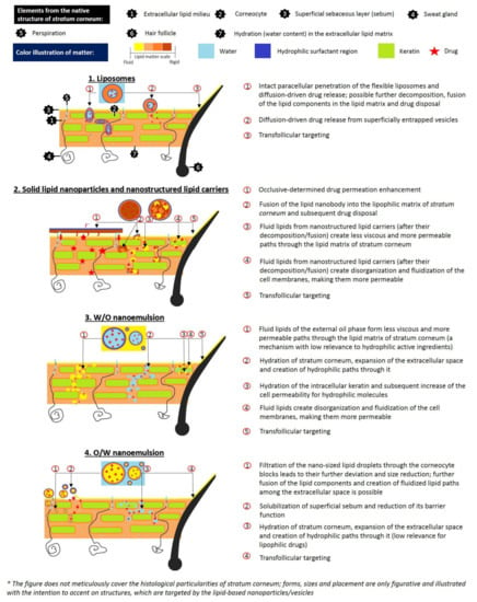 Pharmaceuticals | Free Full-Text | Dermal Drug Delivery of ...