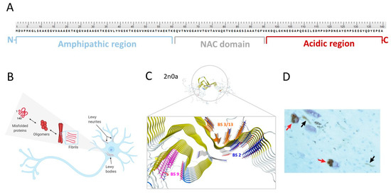 Alpha-Synuclein PET Tracer Development—An Overview about Current Efforts