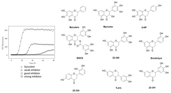 Alpha-Synuclein PET Tracer Development—An Overview about Current Efforts