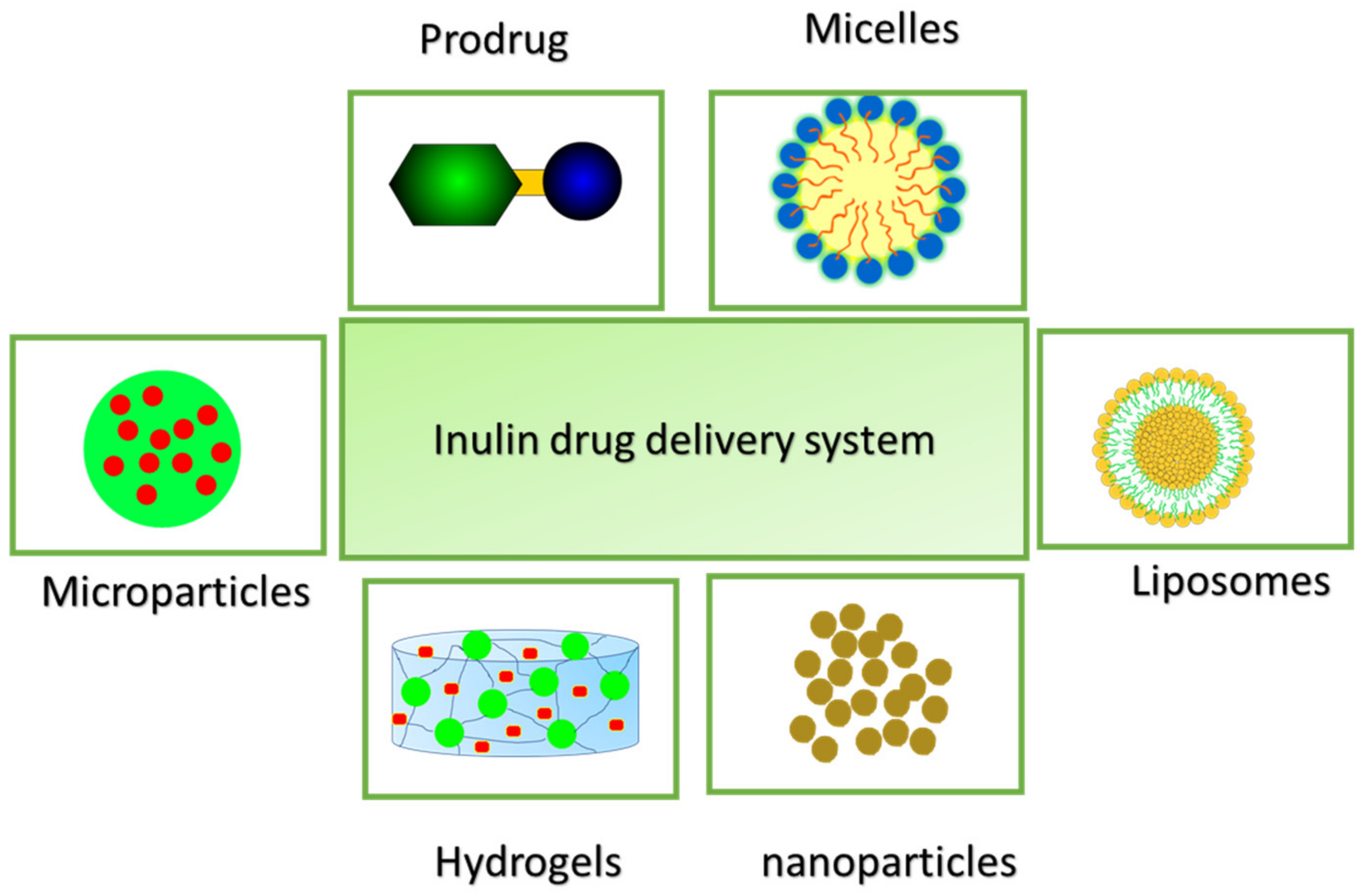 Pharmaceuticals 14 00855 g002