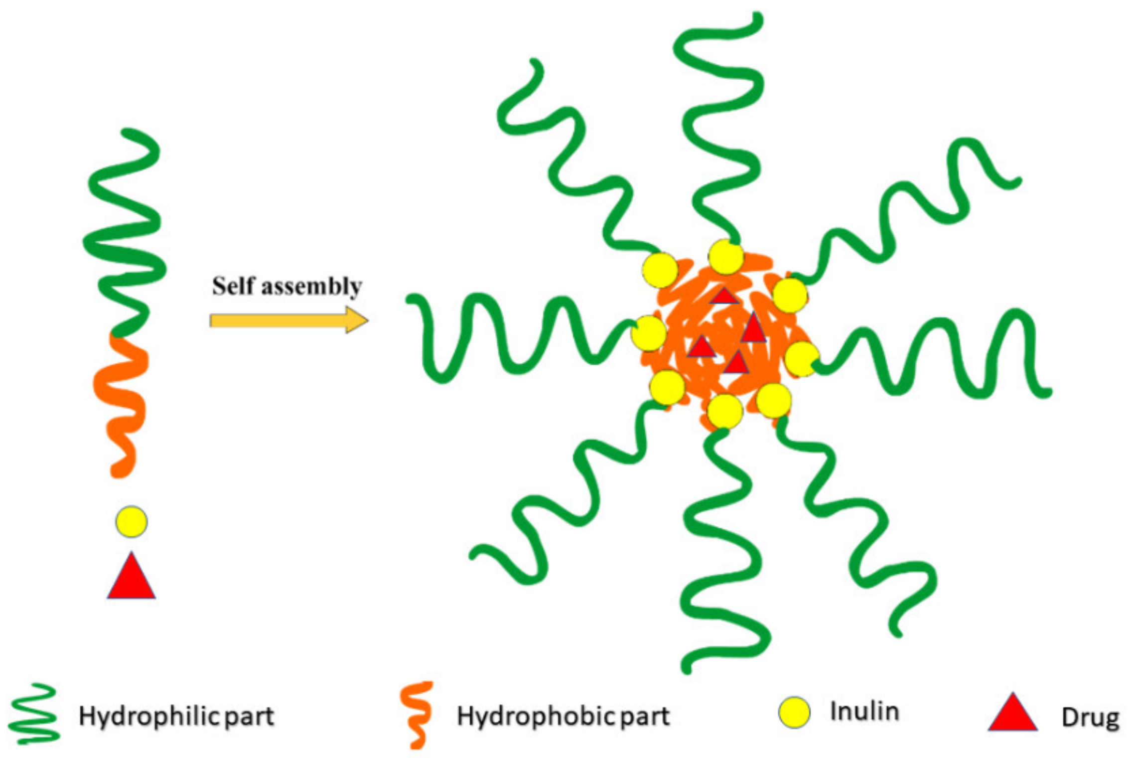 Pharmaceuticals 14 00855 g005