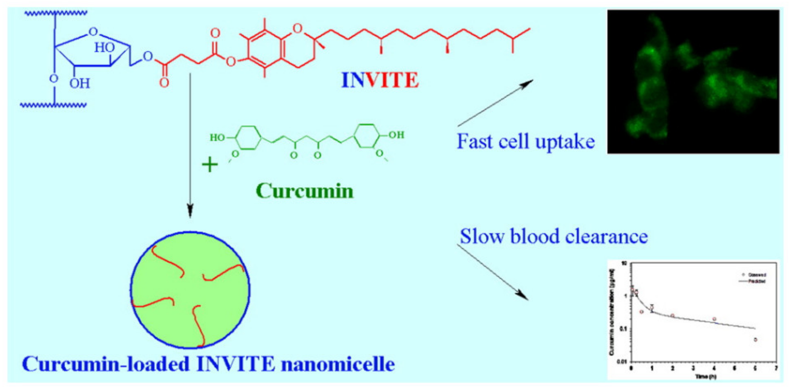 Pharmaceuticals 14 00855 g006