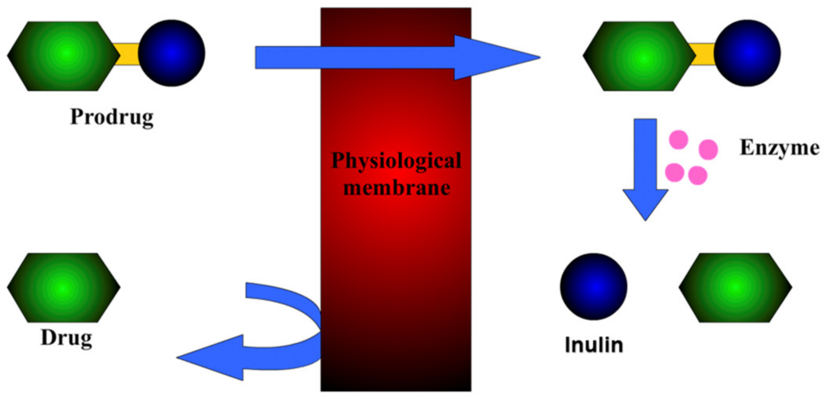 Pharmaceuticals 14 00855 g007