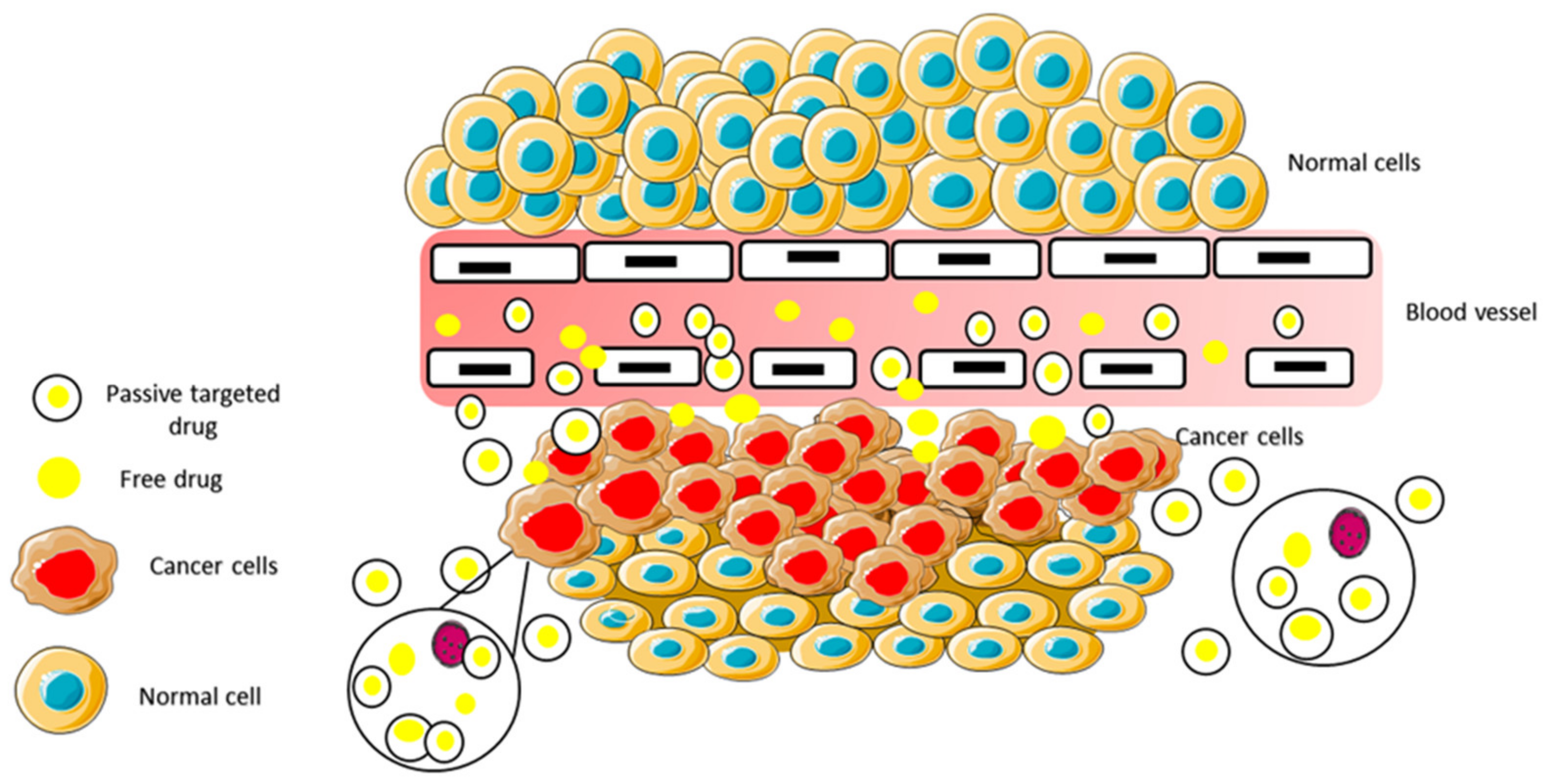 Pharmaceuticals 14 00855 g010