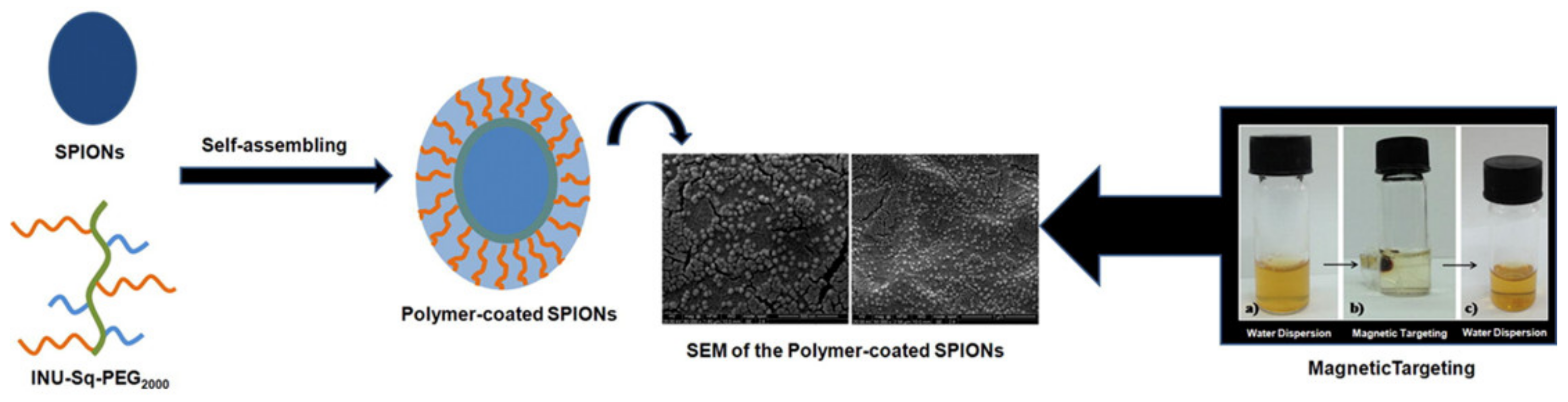 Pharmaceuticals 14 00855 g011