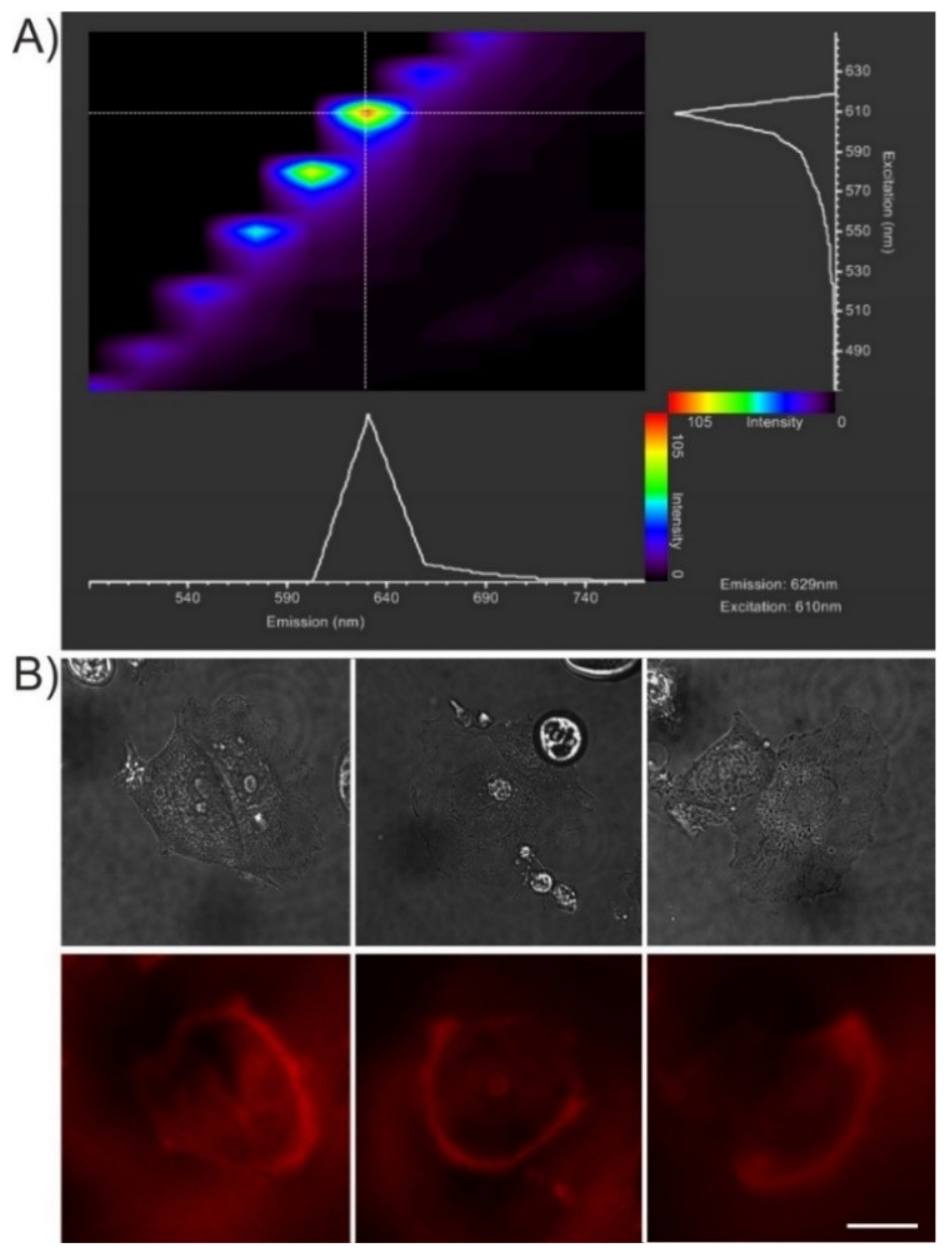 Pharmaceuticals 14 00857 g007