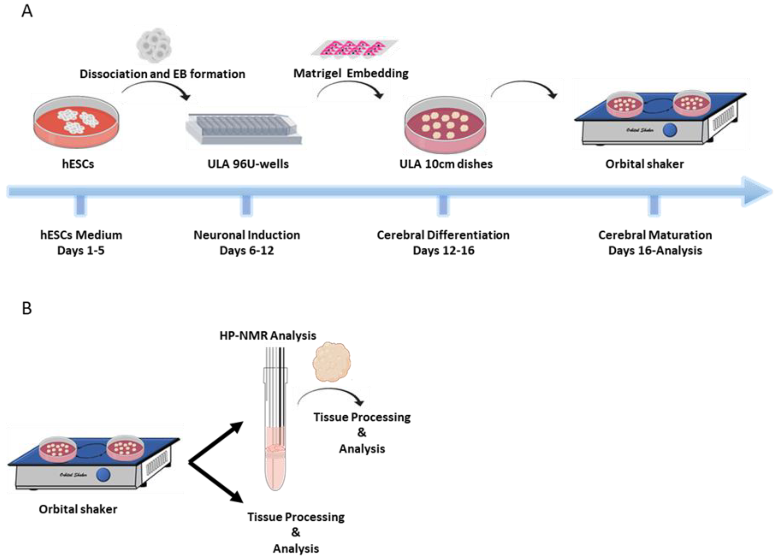 https://www.mdpi.com/pharmaceuticals/pharmaceuticals-14-00878/article_deploy/html/images/pharmaceuticals-14-00878-g004.png