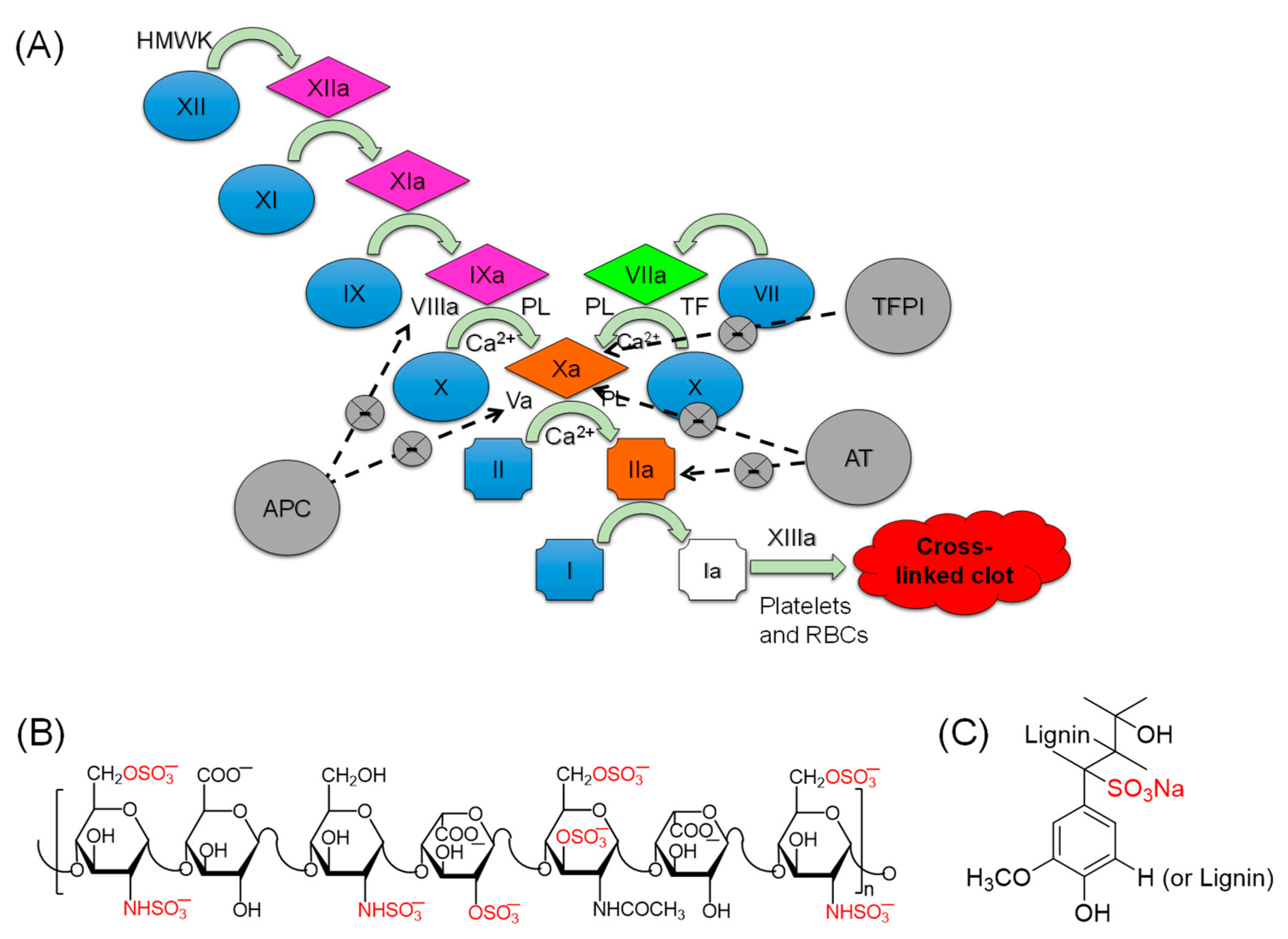 Pharmaceuticals 14 00886 g001