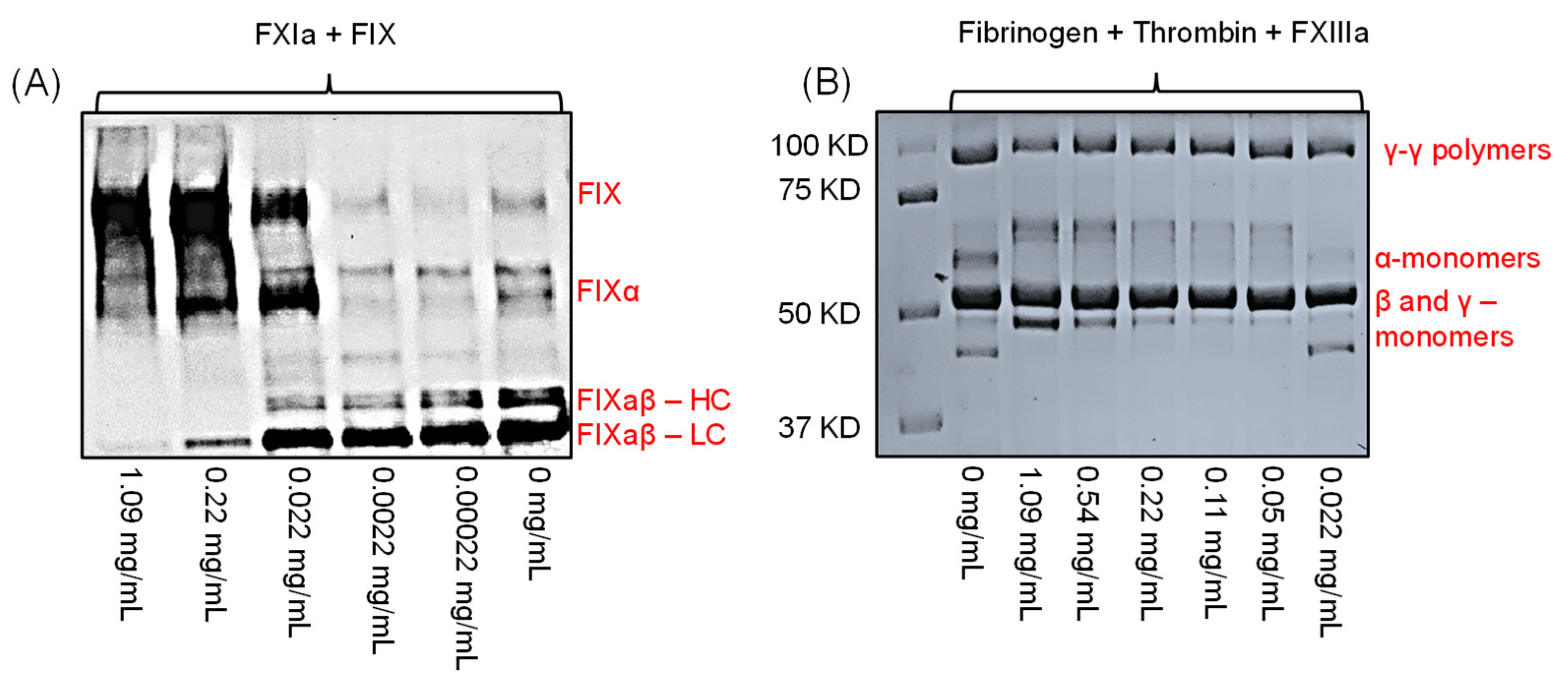 Pharmaceuticals 14 00886 g005