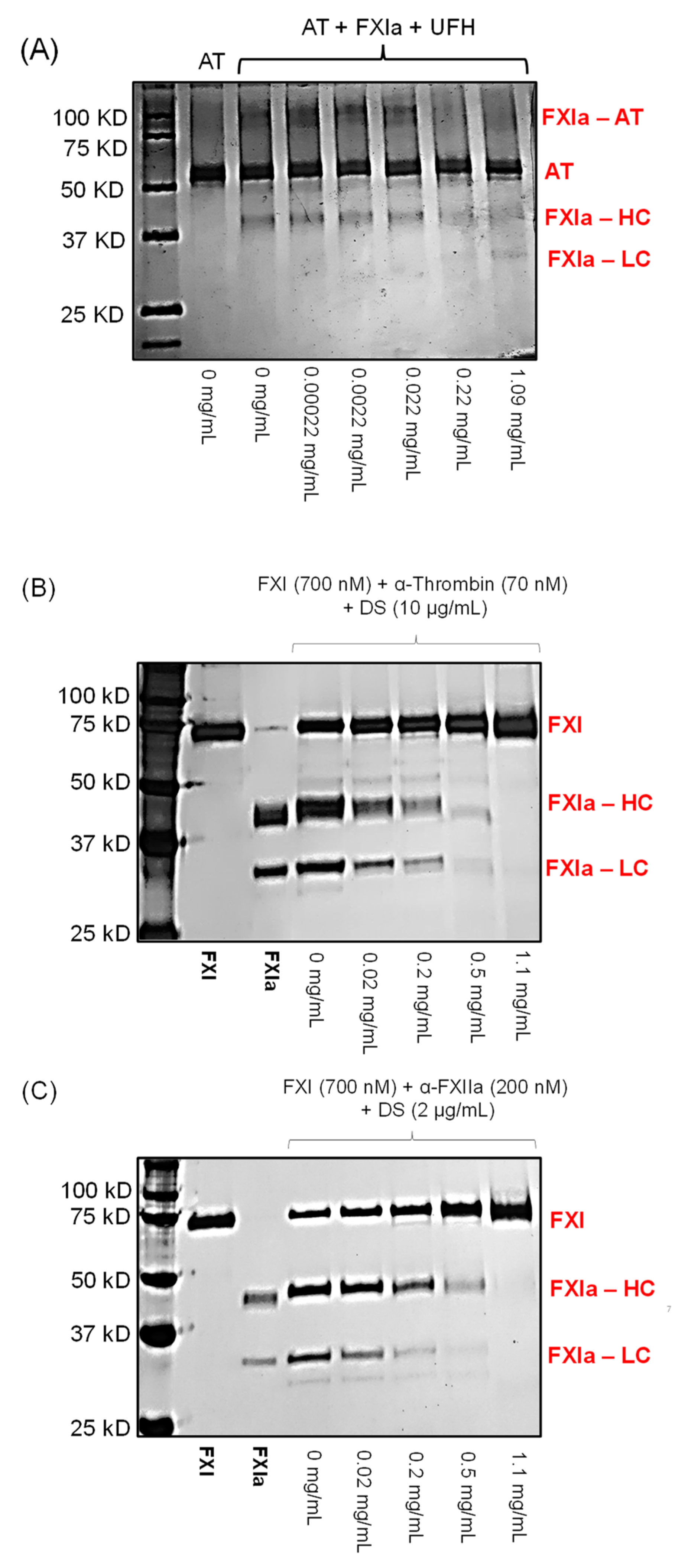 Pharmaceuticals 14 00886 g006