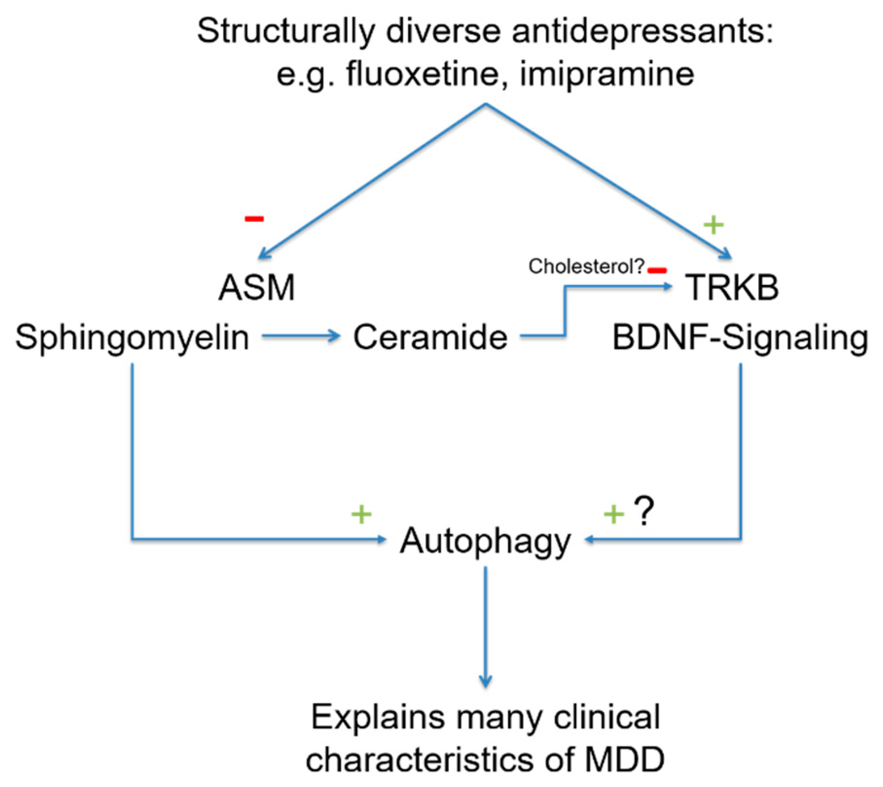 Pharmaceuticals 14 00894 g002 Pharmaceuticals 14 00894 g002