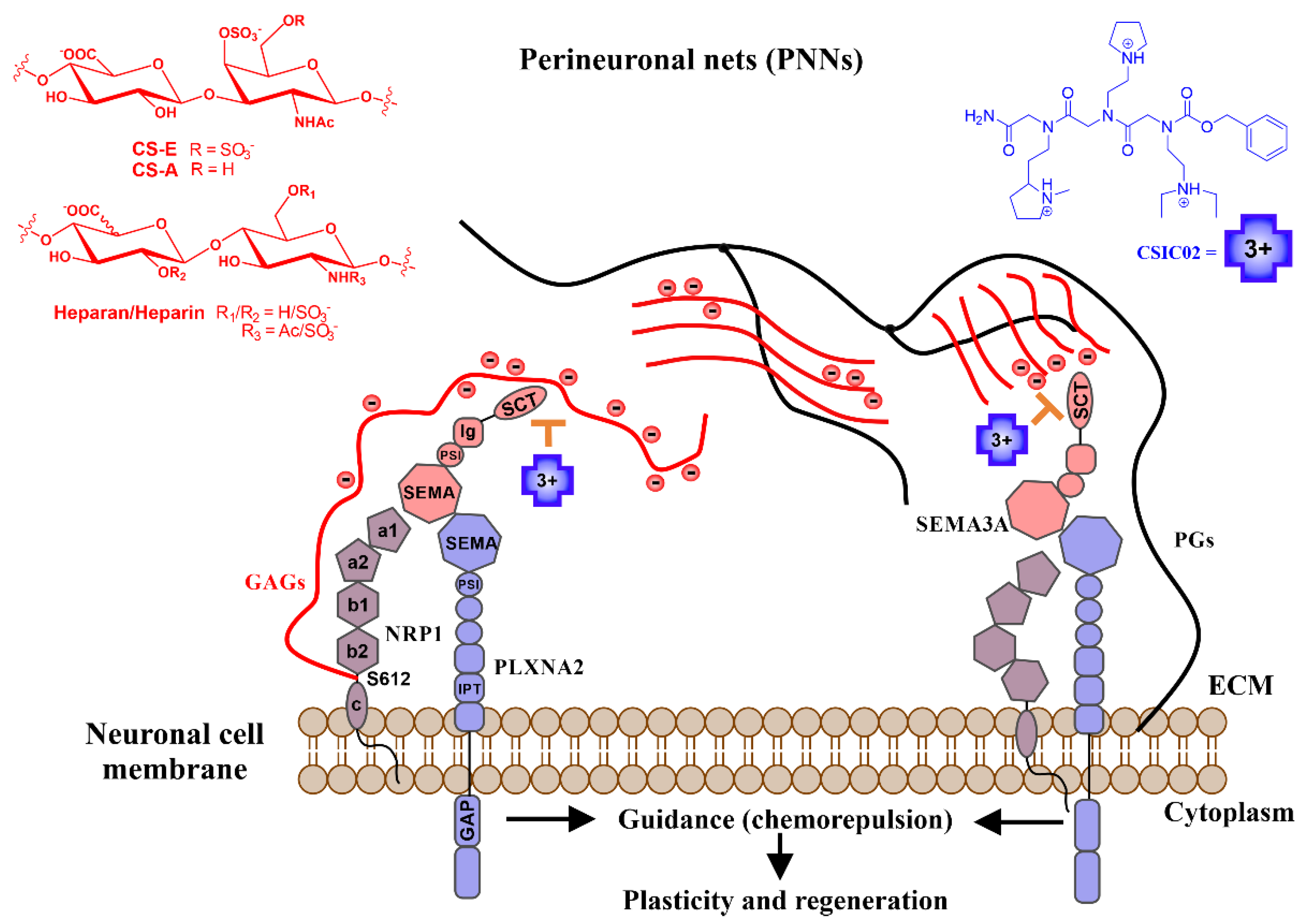 Pharmaceuticals 14 00906 g001