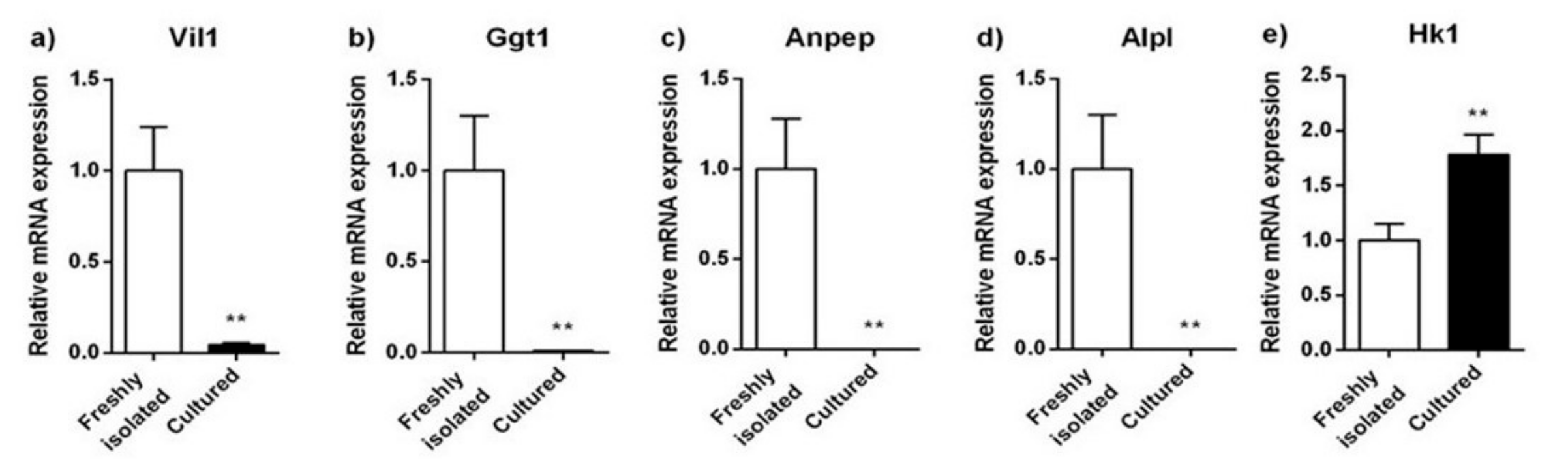 Pharmaceuticals 14 00908 g004
