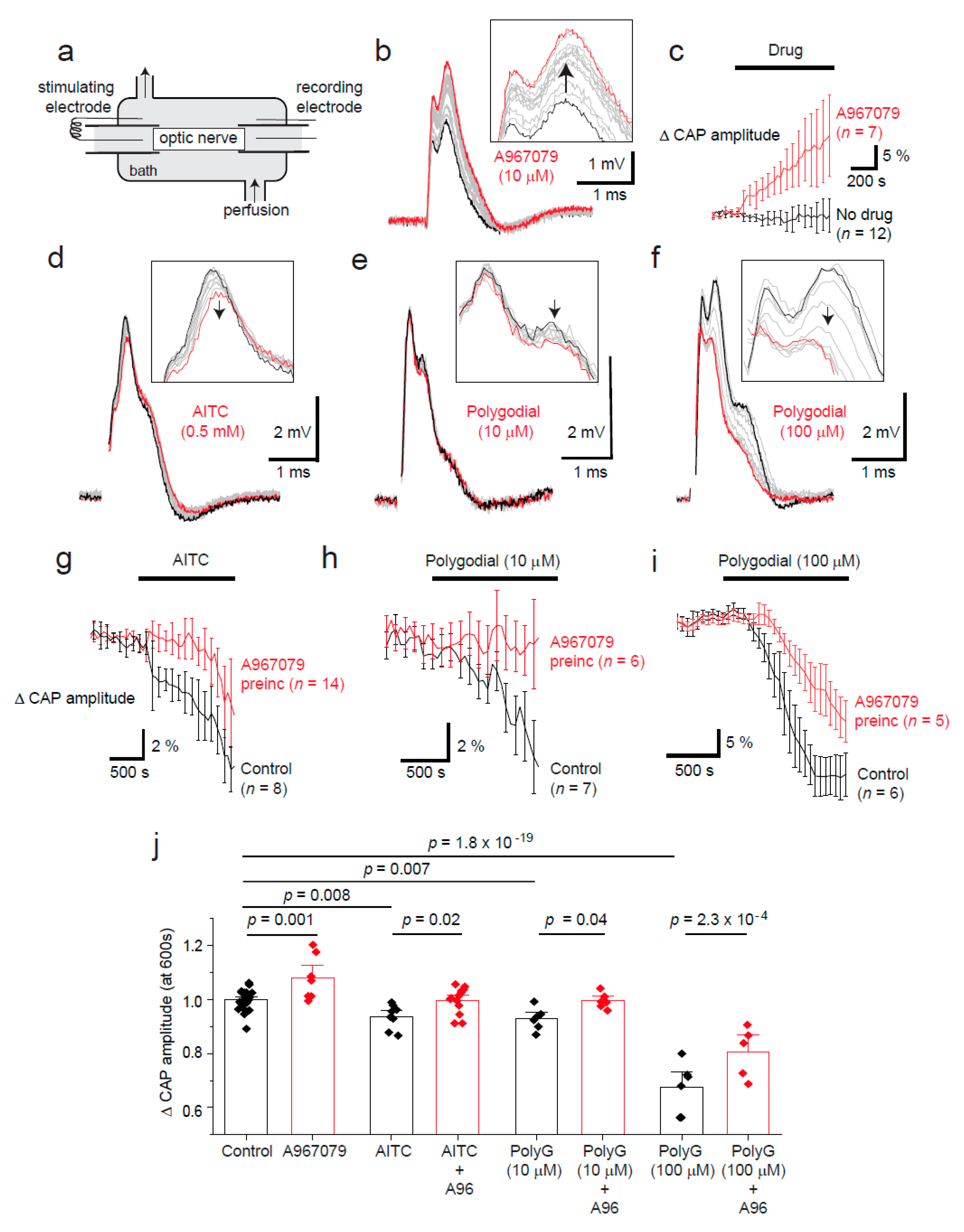 Pharmaceuticals 14 00909 g002 Pharmaceuticals 14 00909 g002